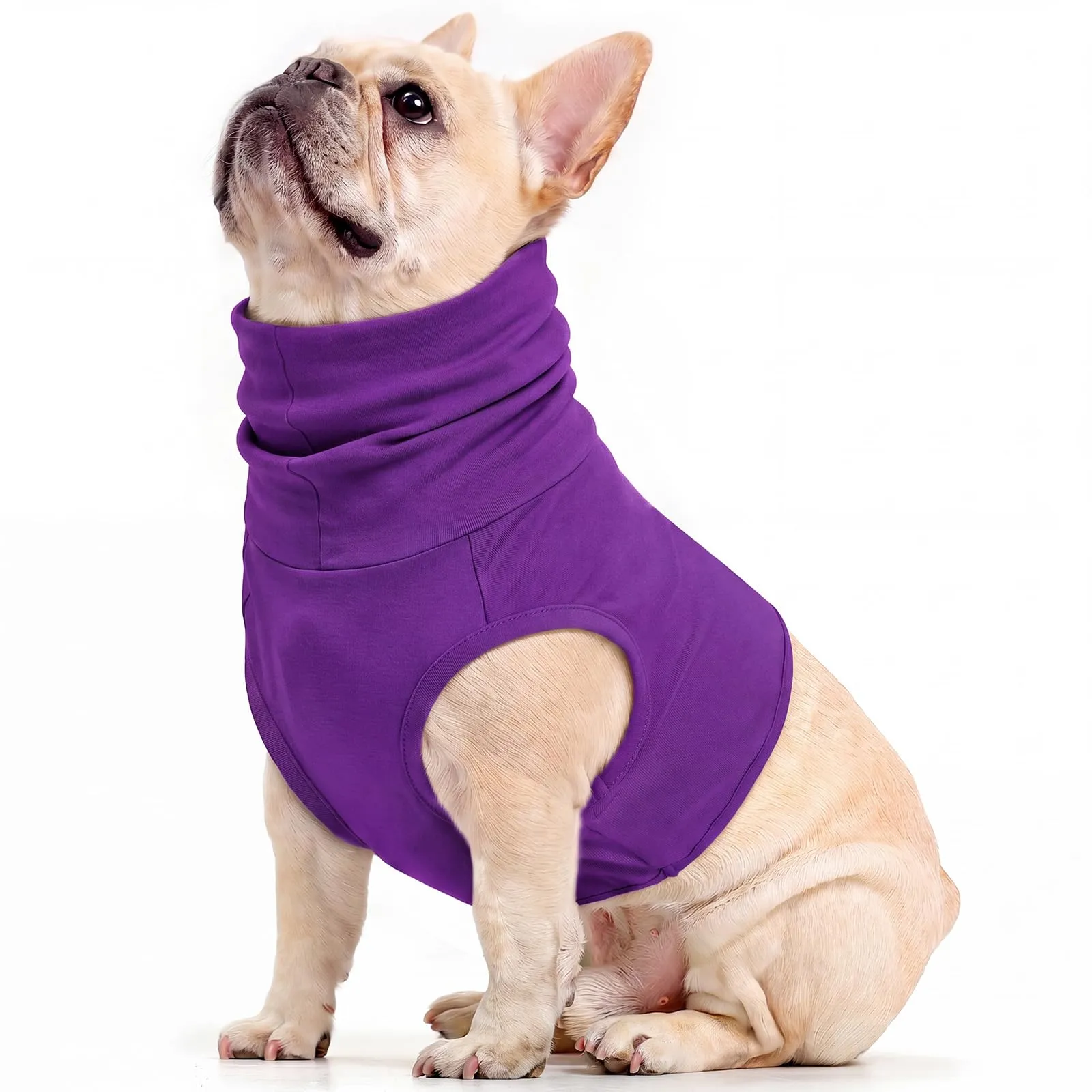 PUMYPOREITY Protezione per il collo e gilet chirurgico di recupero in cotone per cani (viola scuro, M) - immagine 1