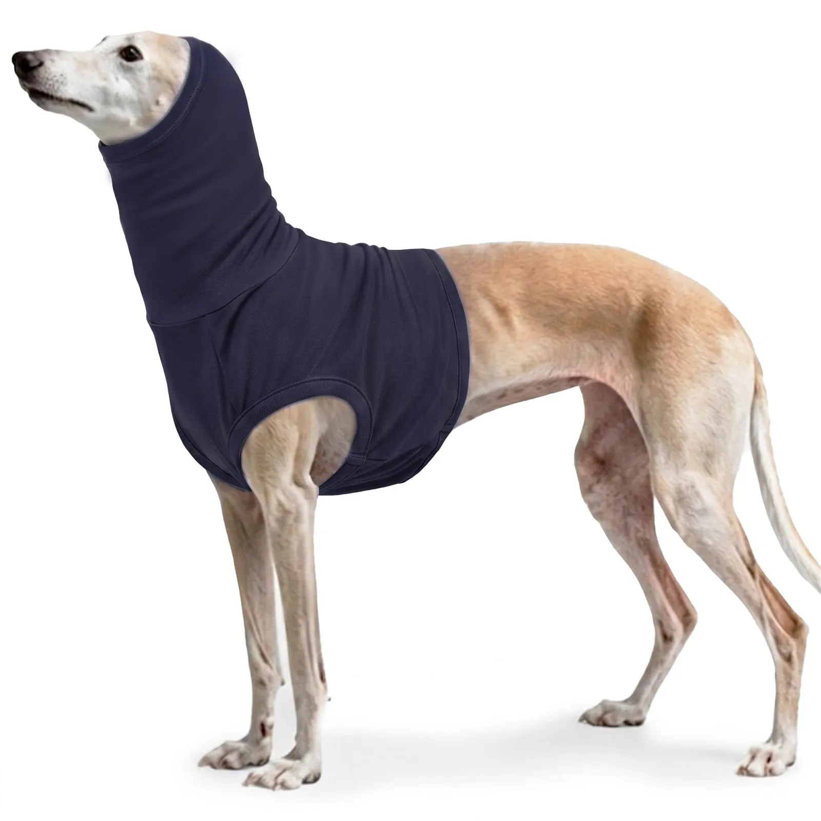 PUMYPOREITY Protezione per il collo per cani e gatti, medicazione chirurgica e sciarpa tubolare, Blu Scuro, XL - immagine 1