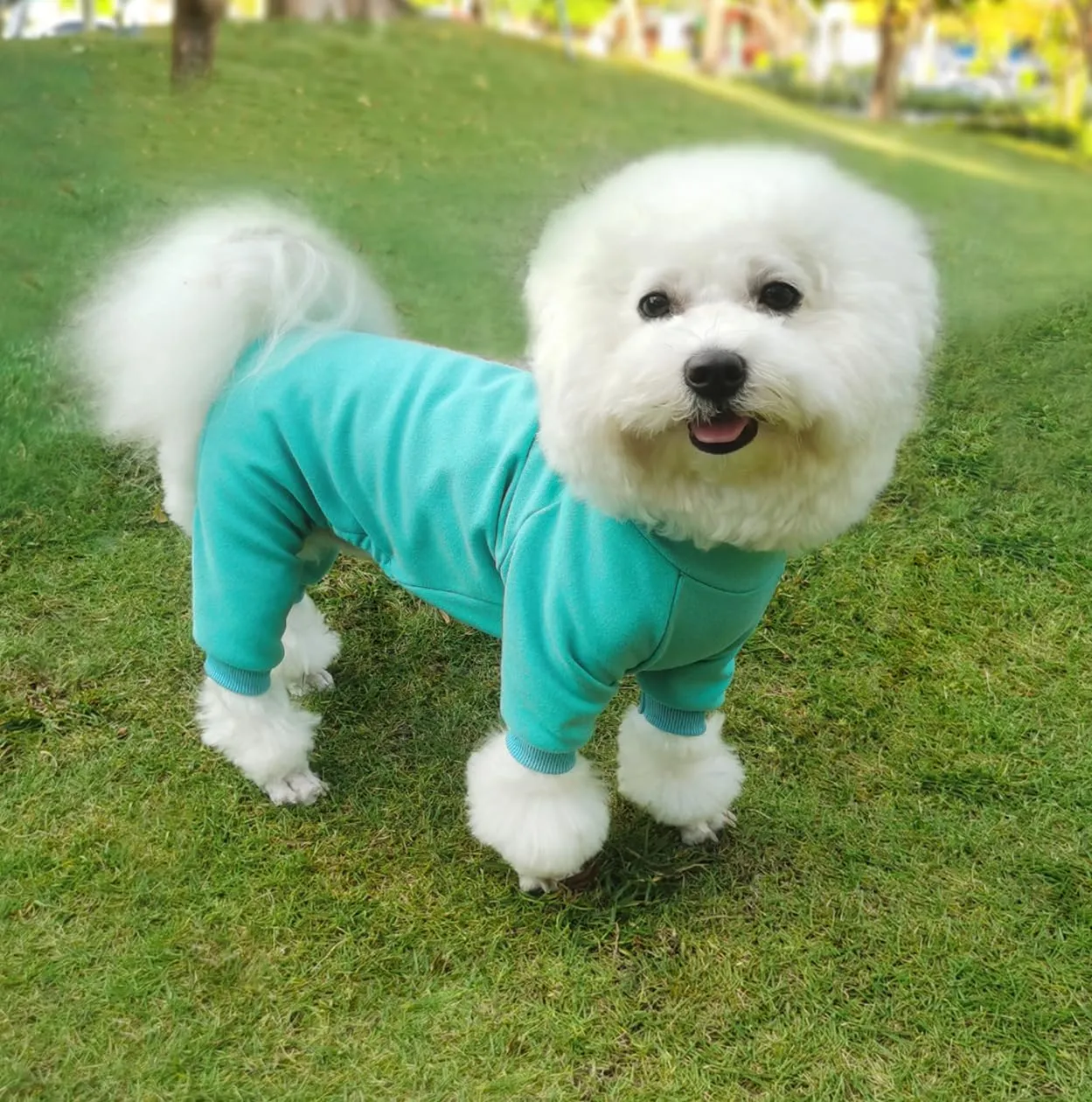HuaLiSiJi Pigiama per Cani di Piccola e Media Taglia (Blu, S) - immagine 4