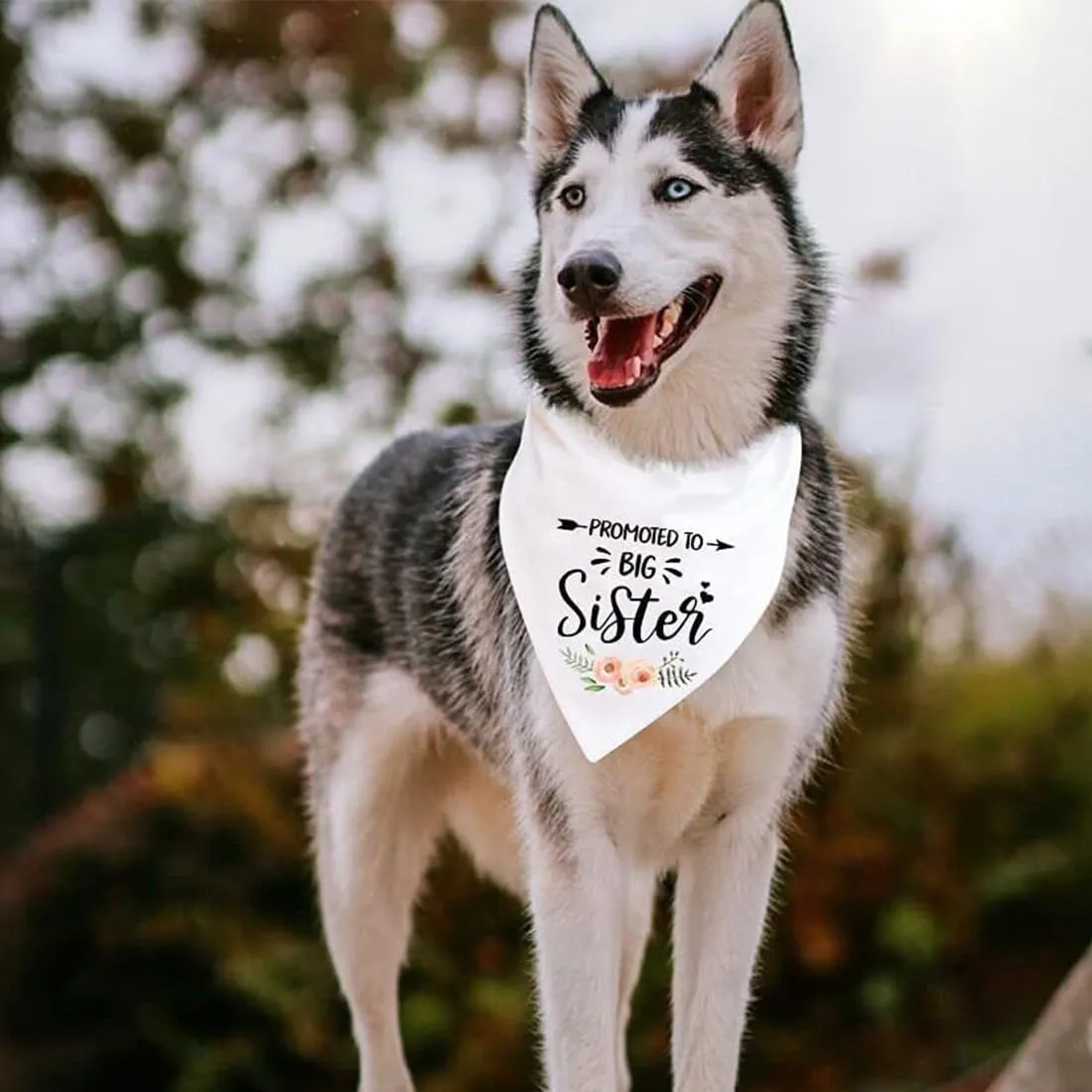 AFCJLTO Dog Bandana Scarf White Promoted To Be Big Sister - immagine 3