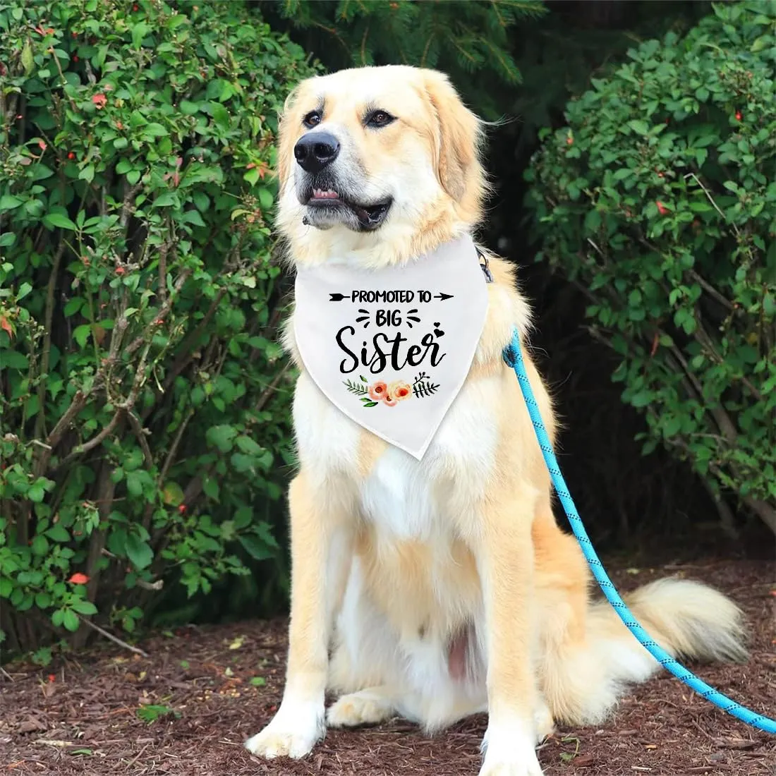 AFCJLTO Dog Bandana Scarf White Promoted To Be Big Sister - immagine 5