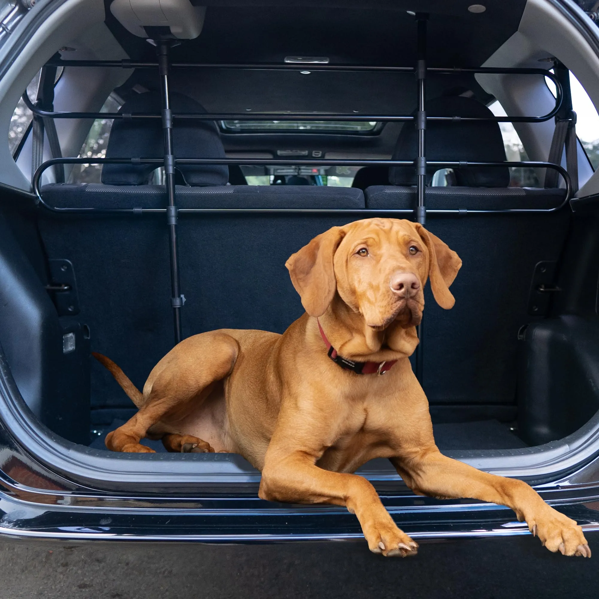 Sakura Cancelletto di sicurezza universale per cani per auto SS5260, Altezza 63-110 cm, Larghezza 86-150 cm - immagine 4