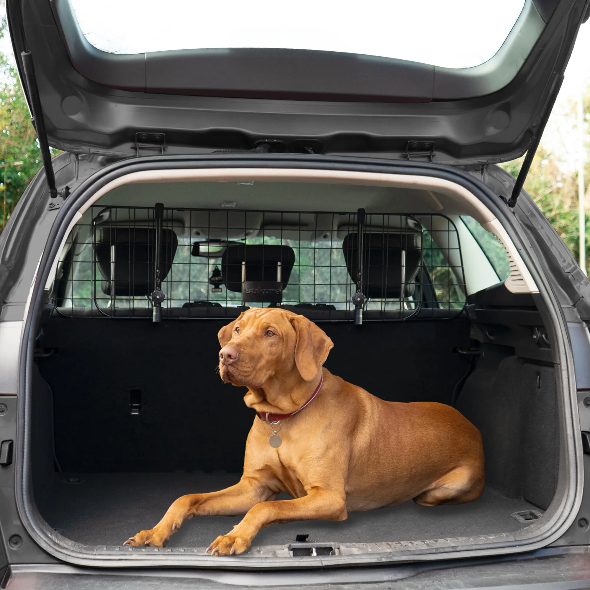 Sakura SS5259 Divisorio per Cani da Auto per Poggiatesta, Larghezza Regolabile - immagine 3