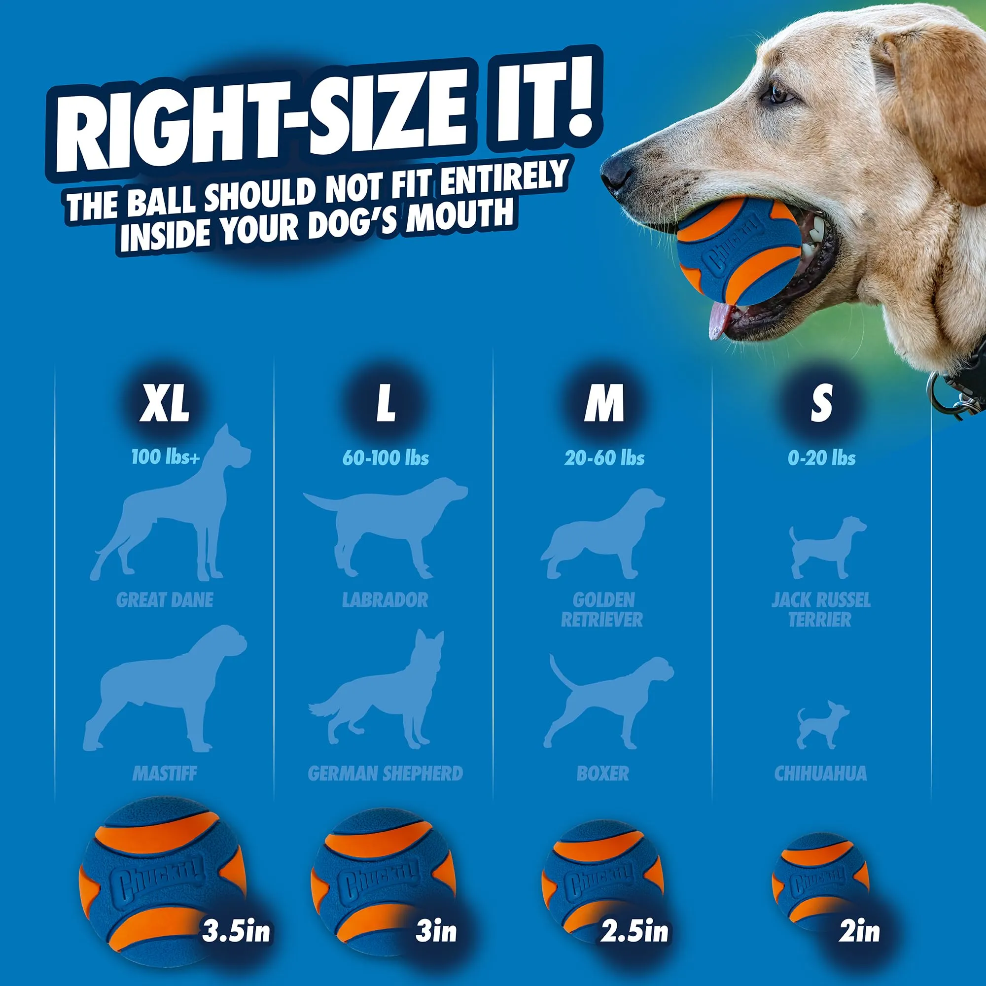Chuckit! Cane Ultra Squeaker Ball, Medium - immagine 7