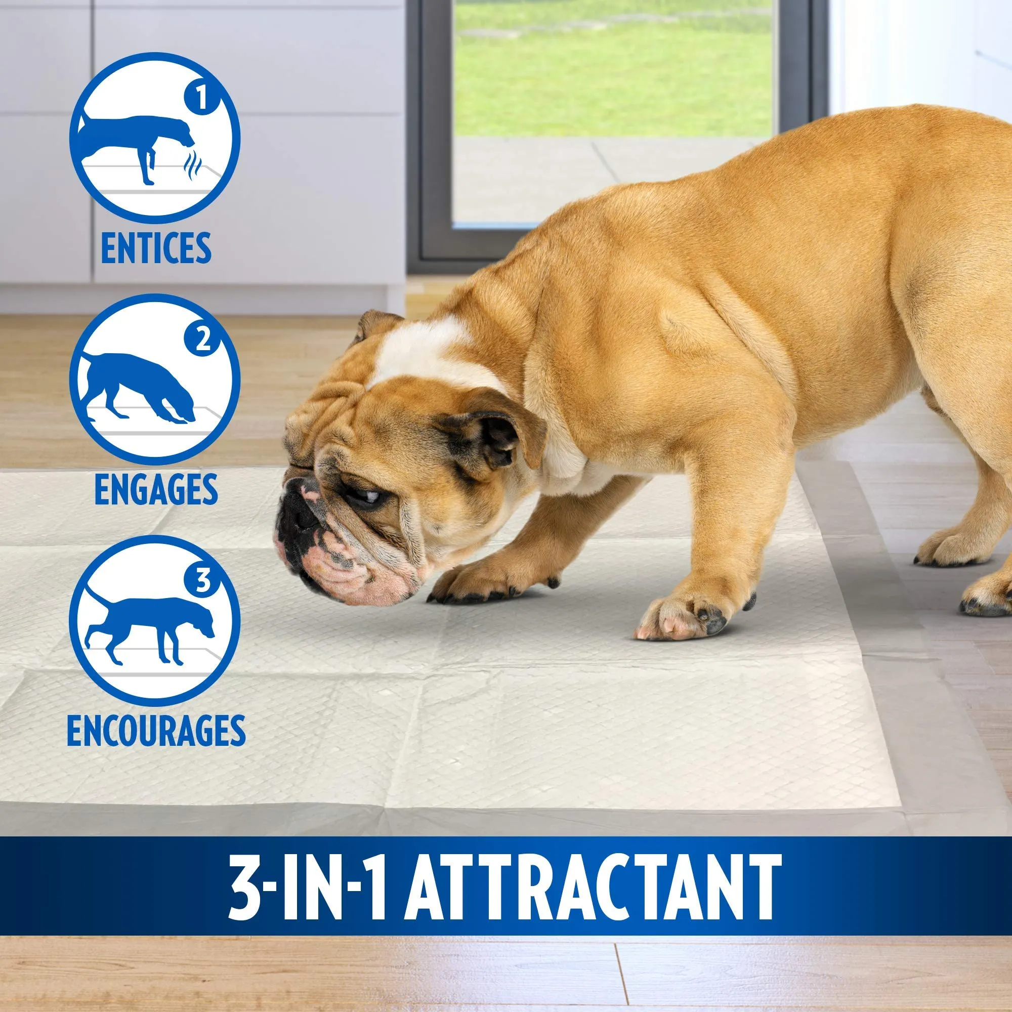 OUT! Assorbenti pad per cani e cuccioli, confezione da 100 - immagine 3
