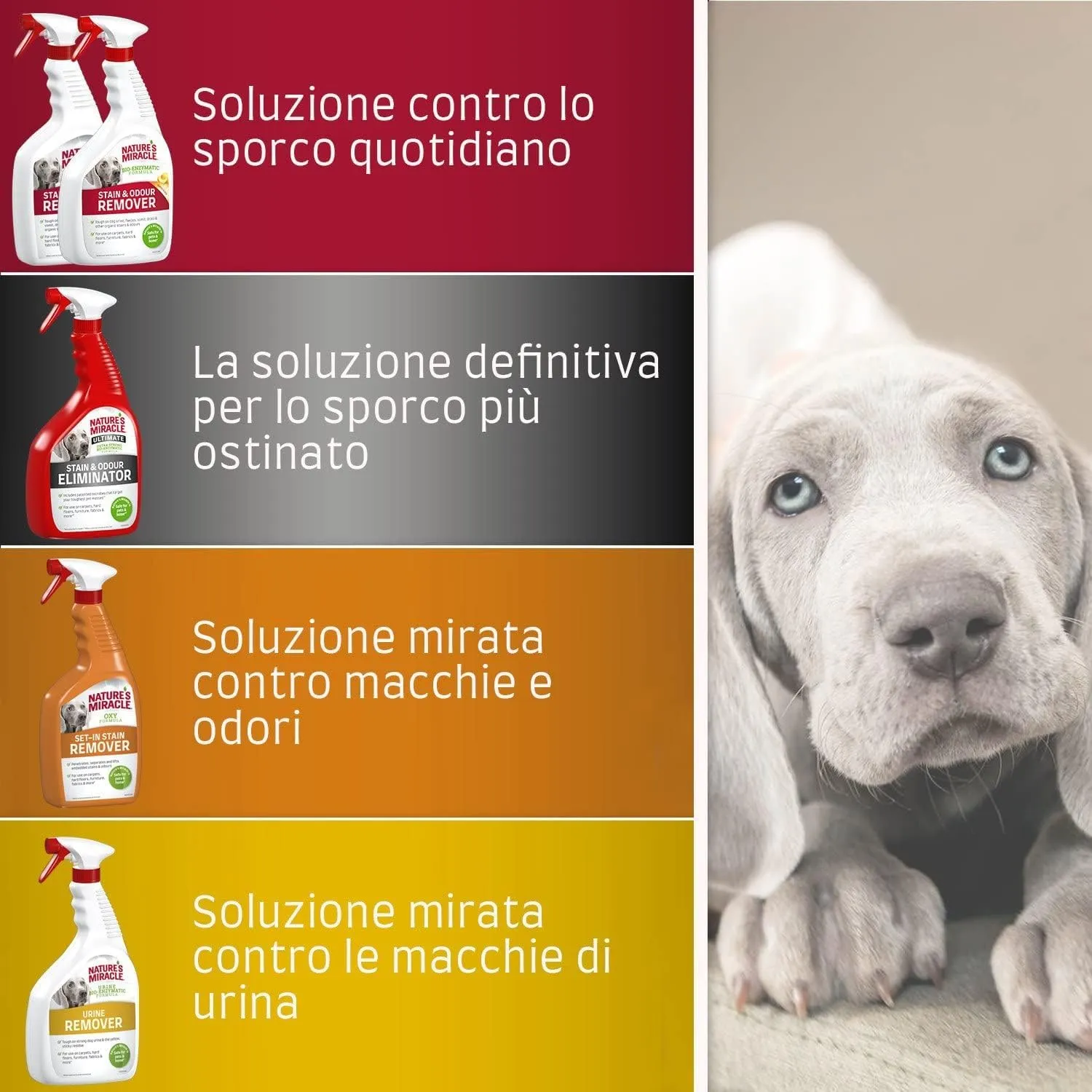 Nature's Miracle Ultimate Stain & Odour Eliminator for Dogs, 946 ml - immagine 8