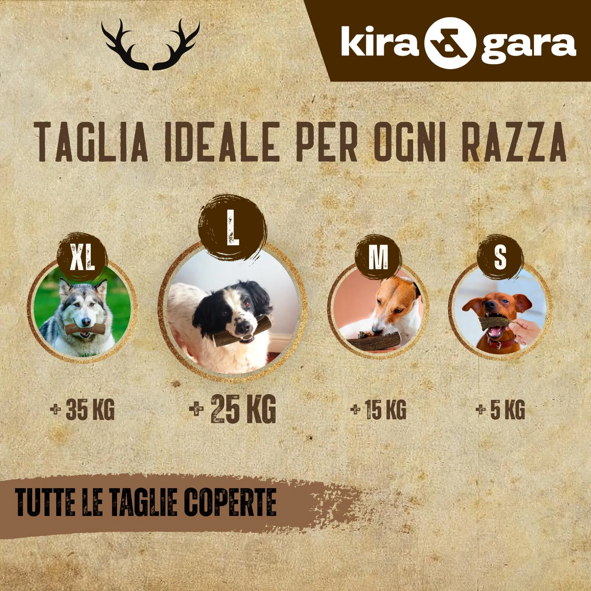 Kira & Gara Corno di Cervo Naturale per Cani (L, 101-150g, 2pz) - immagine 3