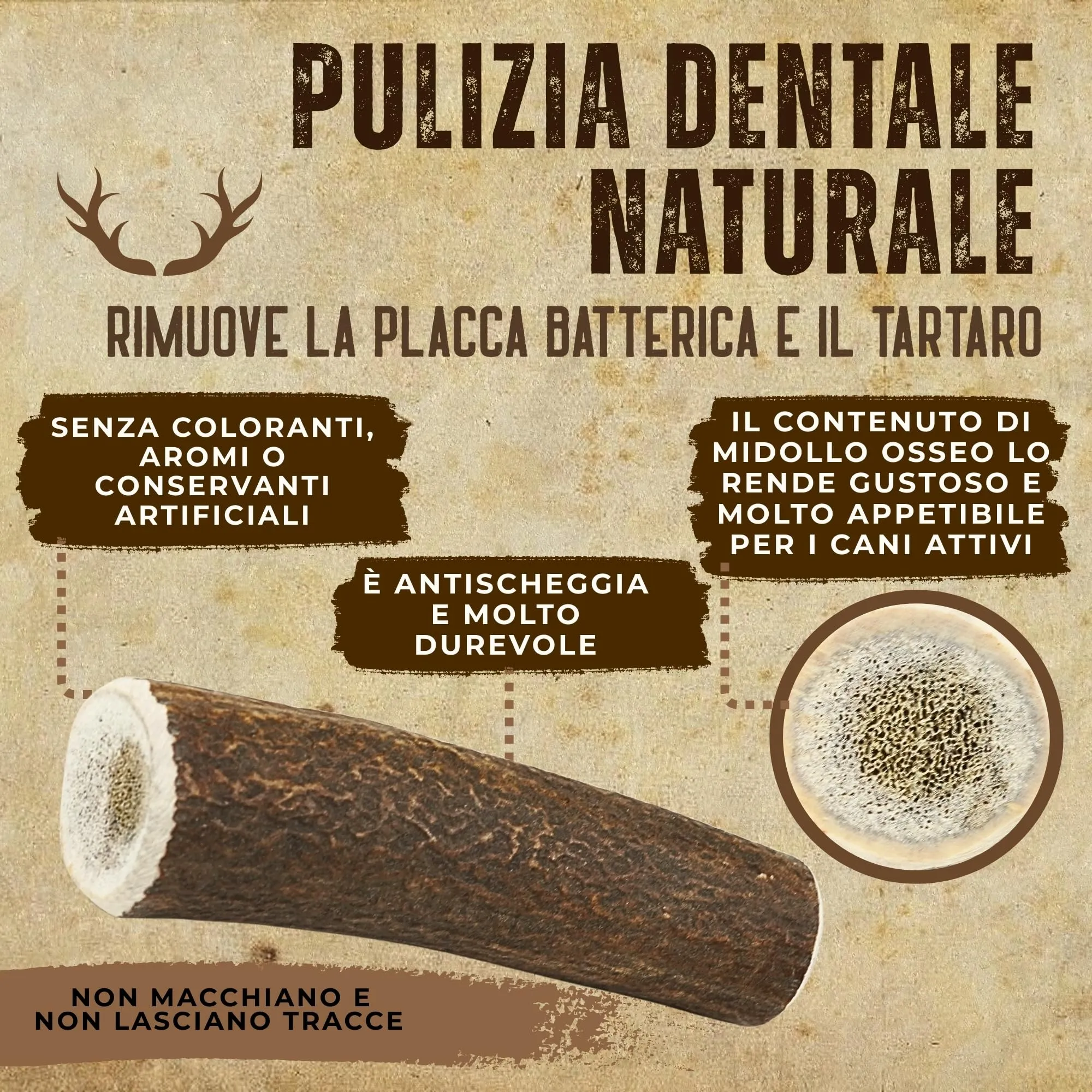 Kira & Gara Corno di Cervo Naturale per Cani (L, 101-150g, 2pz) - immagine 5
