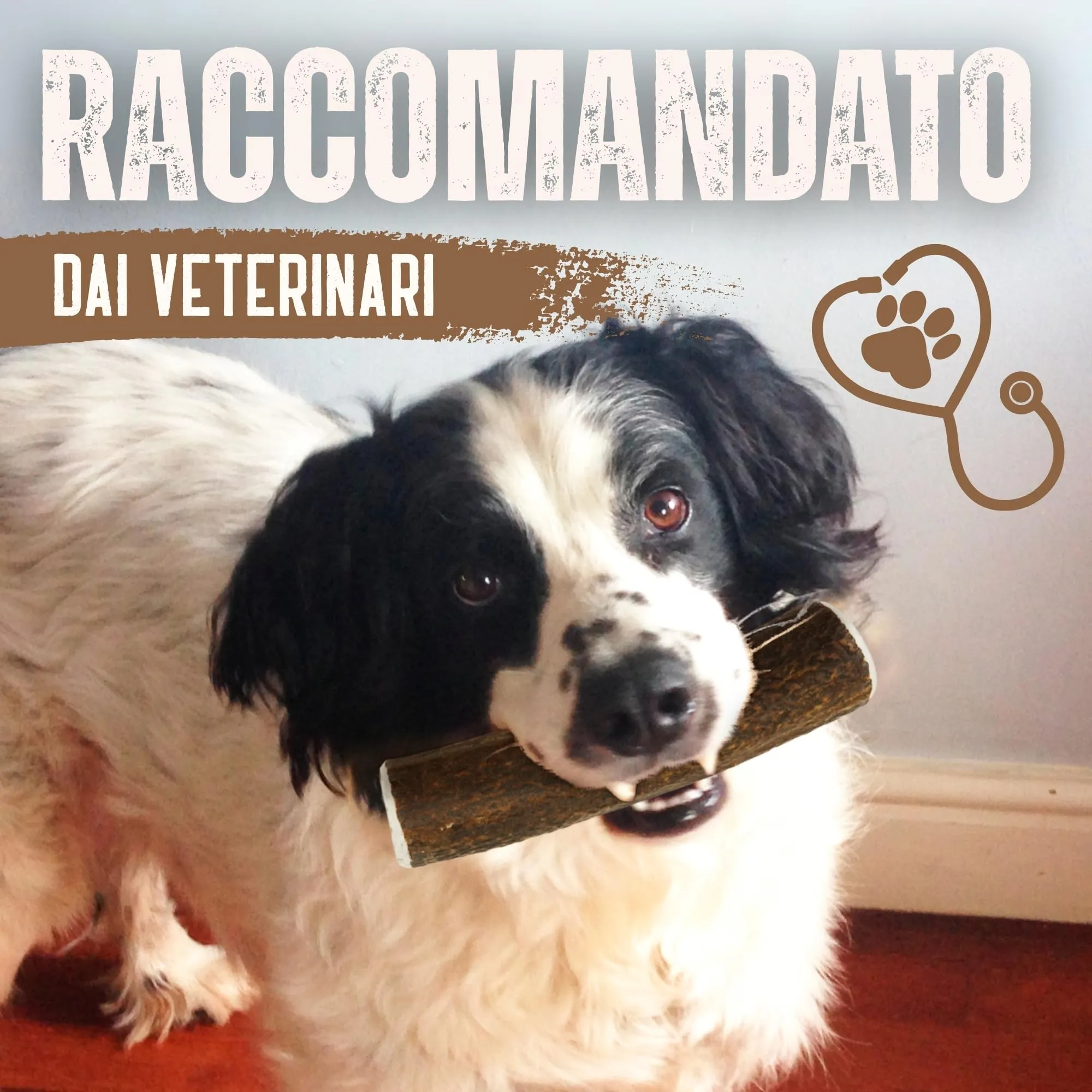 Kira & Gara Corno di Cervo Naturale per Cani (L, 101-150g, 2pz) - immagine 8