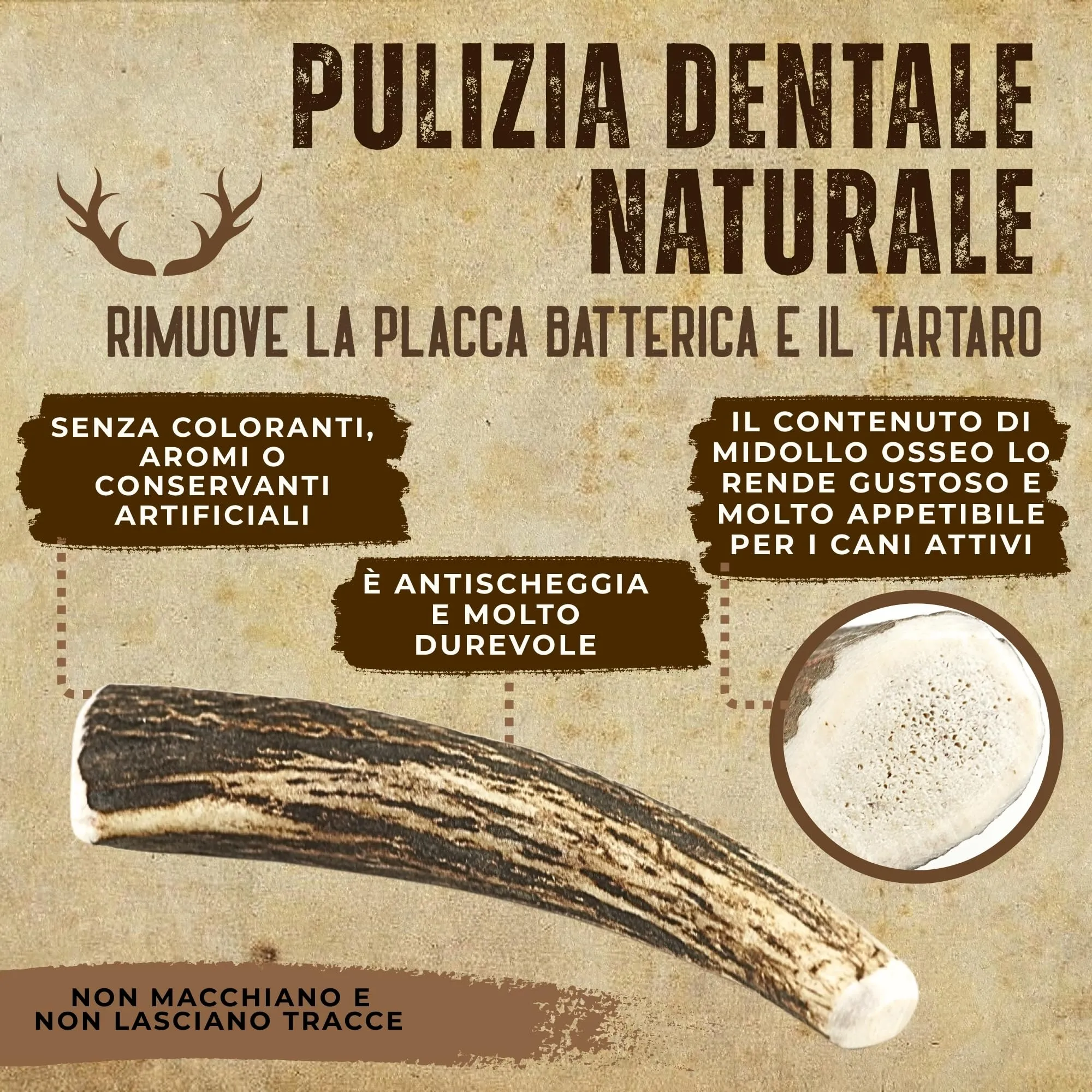 Kira & Gara Corno di Cervo Naturale per Cani (S, 40-70g, 2pz) - immagine 5