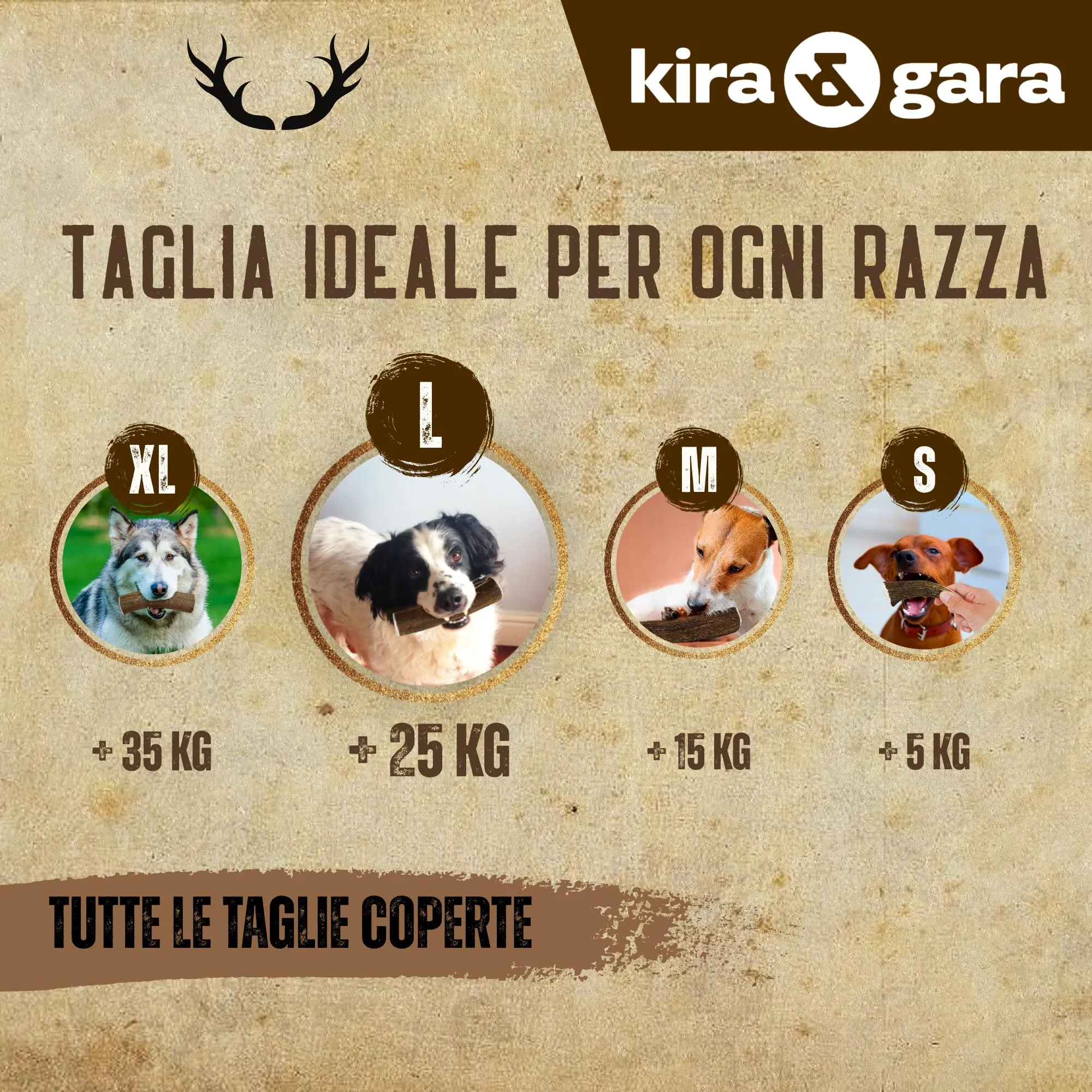 Kira & Gara Corno di Cervo Naturale per Cani (L, 101-150g, 1pz) - immagine 3