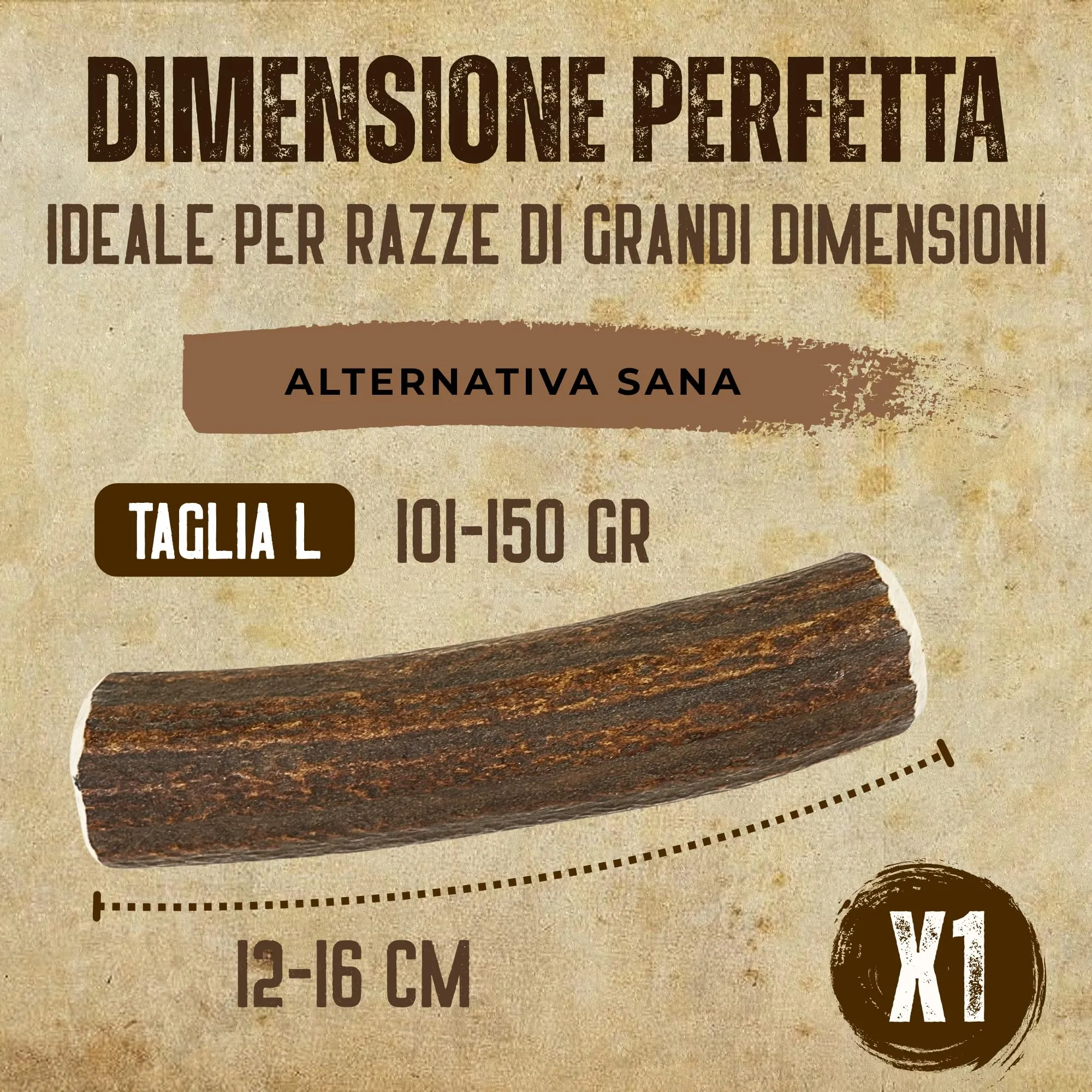 Kira & Gara Corno di Cervo Naturale per Cani (L, 101-150g, 1pz) - immagine 4