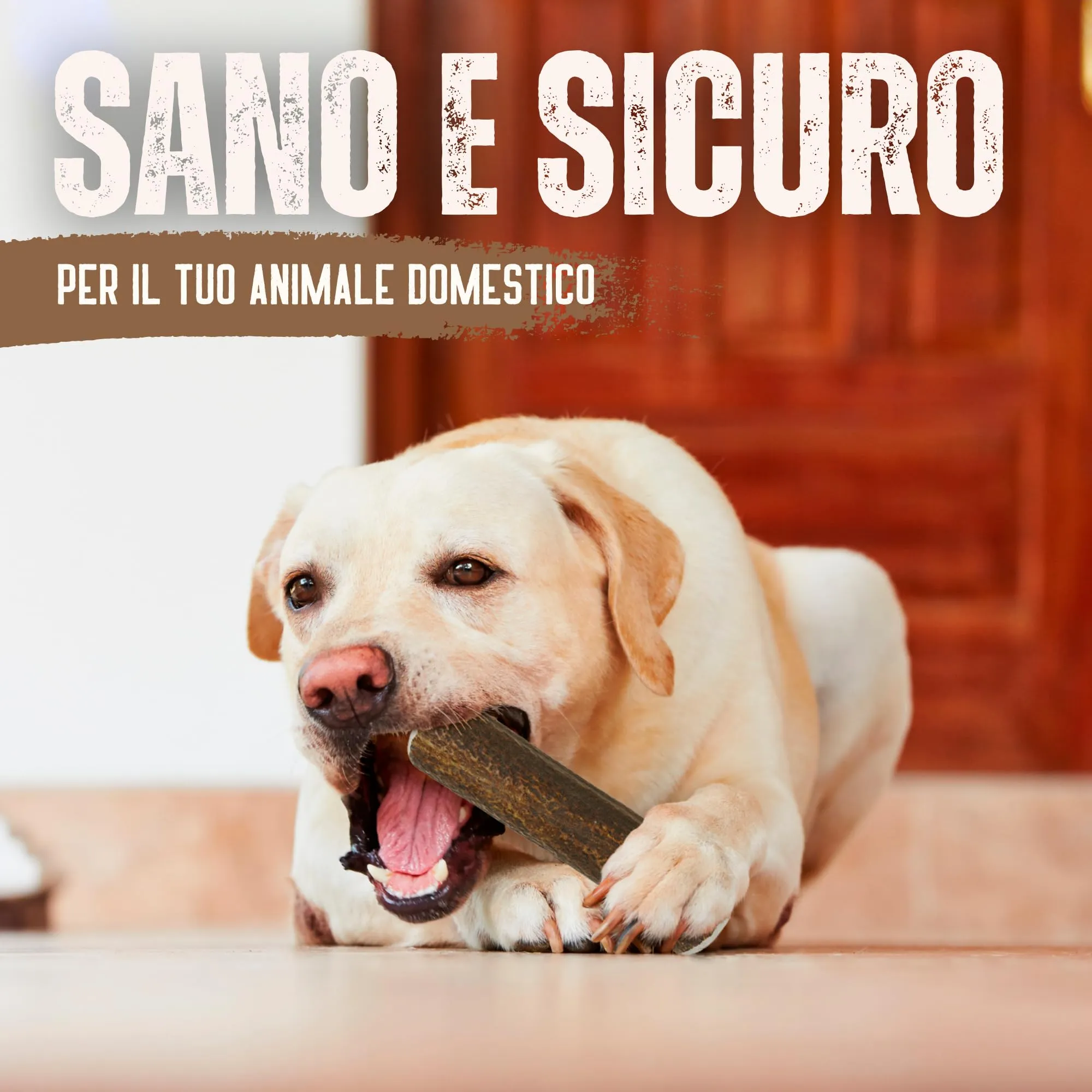 Kira & Gara Corno di Cervo Naturale per Cani (L, 101-150g, 1pz) - immagine 7