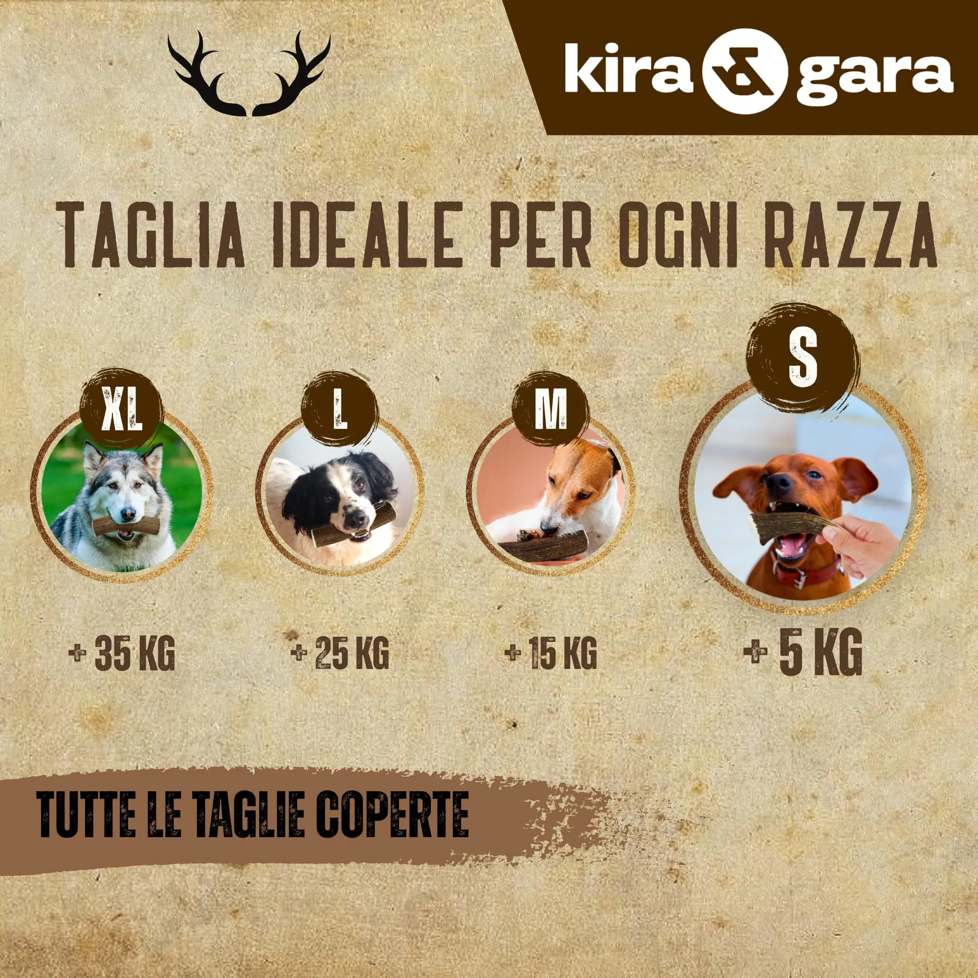 Kira & Gara Corno di Cervo Naturale per Cani (S, 40-70g, 1pz) - immagine 3