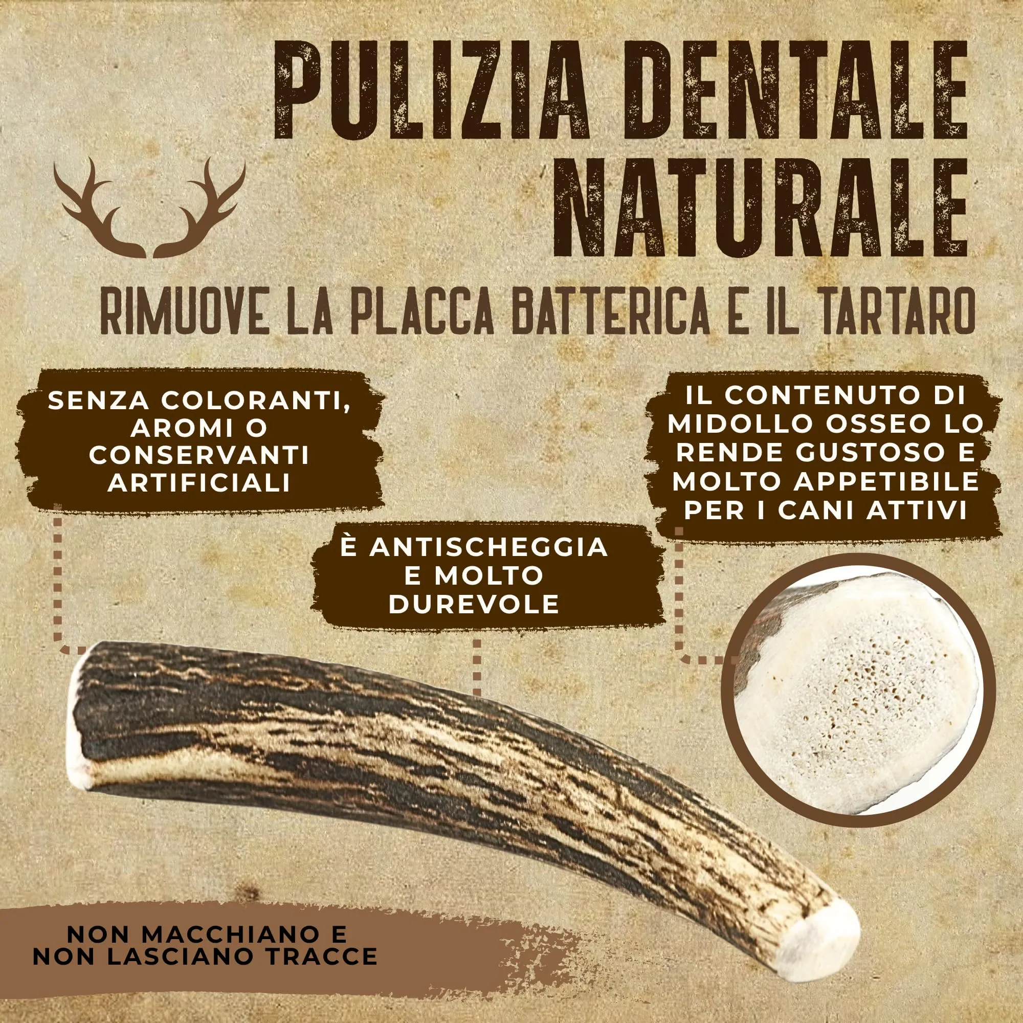 Kira & Gara Corno di Cervo Naturale per Cani (S, 40-70g, 1pz) - immagine 5