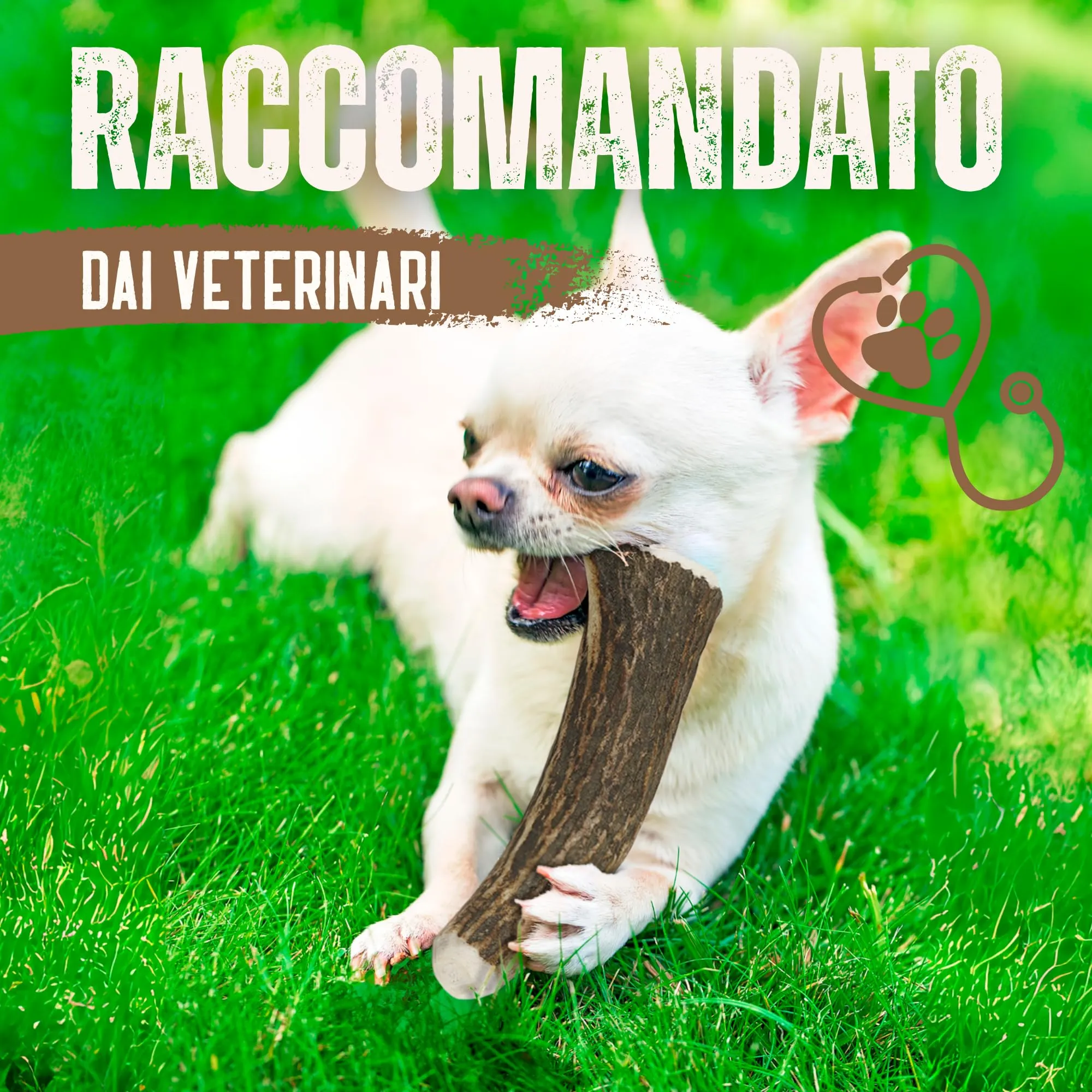 Kira & Gara Corno di Cervo Naturale per Cani (S, 40-70g, 1pz) - immagine 8