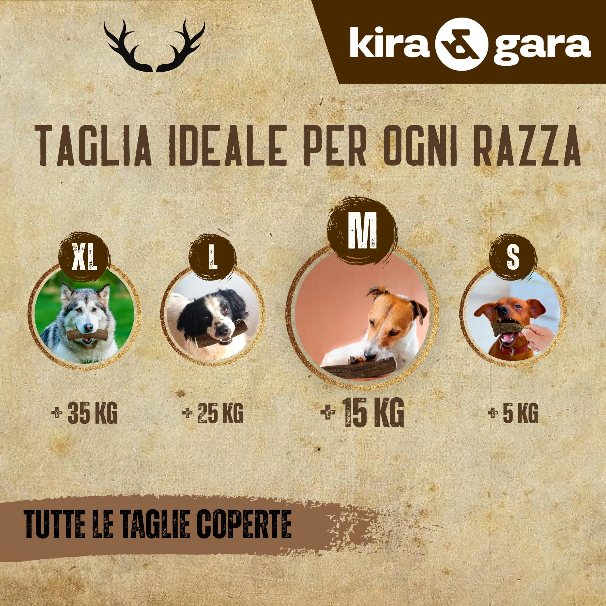 Kira & Gara Corno di Cervo Naturale per Cani (M, 71-100g, 1pz) - immagine 3