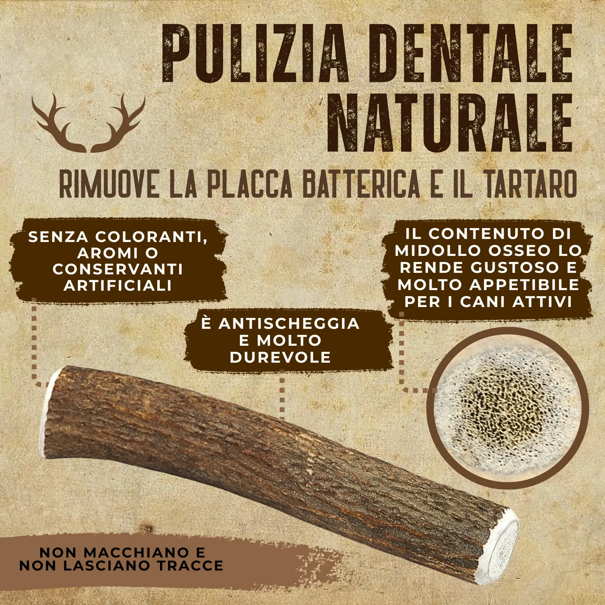 Kira & Gara Corno di Cervo Naturale per Cani (M, 71-100g, 1pz) - immagine 5