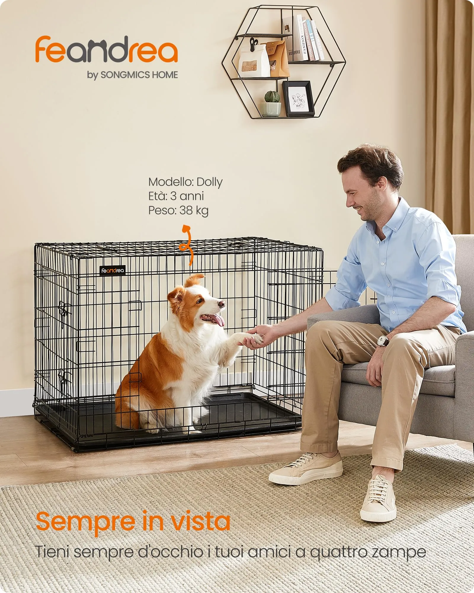 Feandrea Gabbia per Cani Pieghevole con 2 Porte e Vassoio Rimovibile, 107 x 70 x 77,5 cm, XL, Nero PPD42H - immagine 2