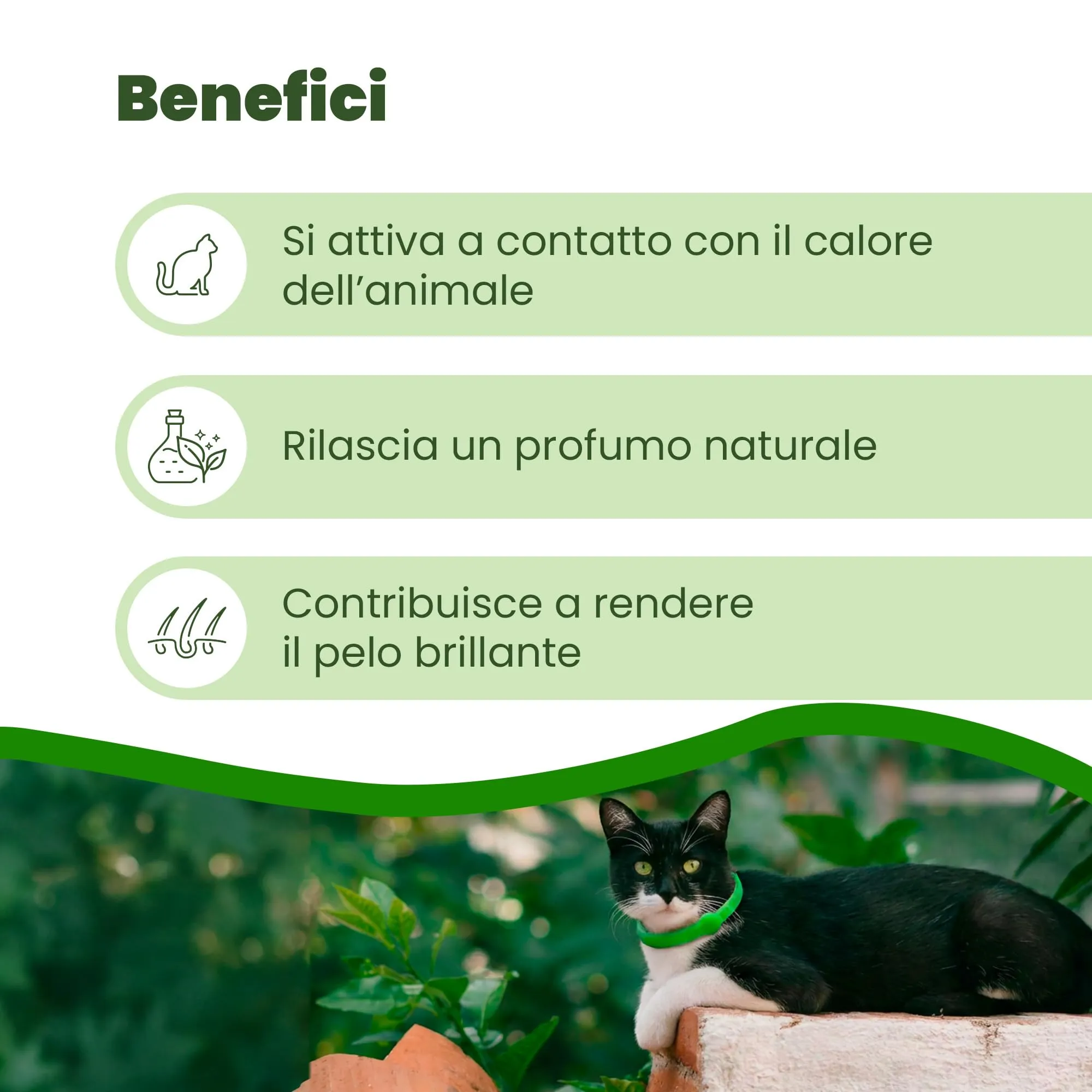 Camon Collare Barriera per Gatto Olio di Neem, 35cm - immagine 3