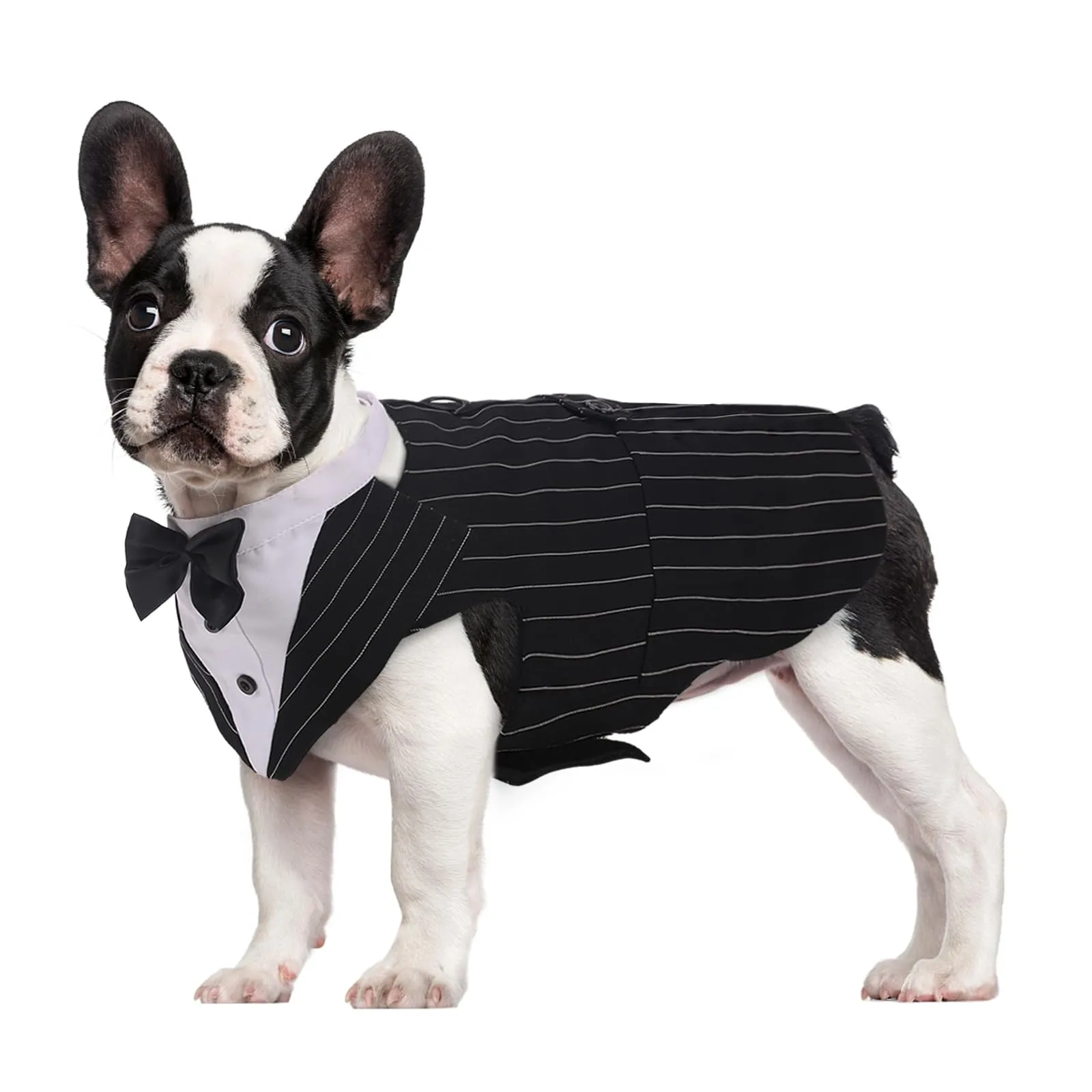 Kuoser Abito Smoking per Cani con Papillon e Bandana, Set Formale per Matrimoni e Feste - immagine 1