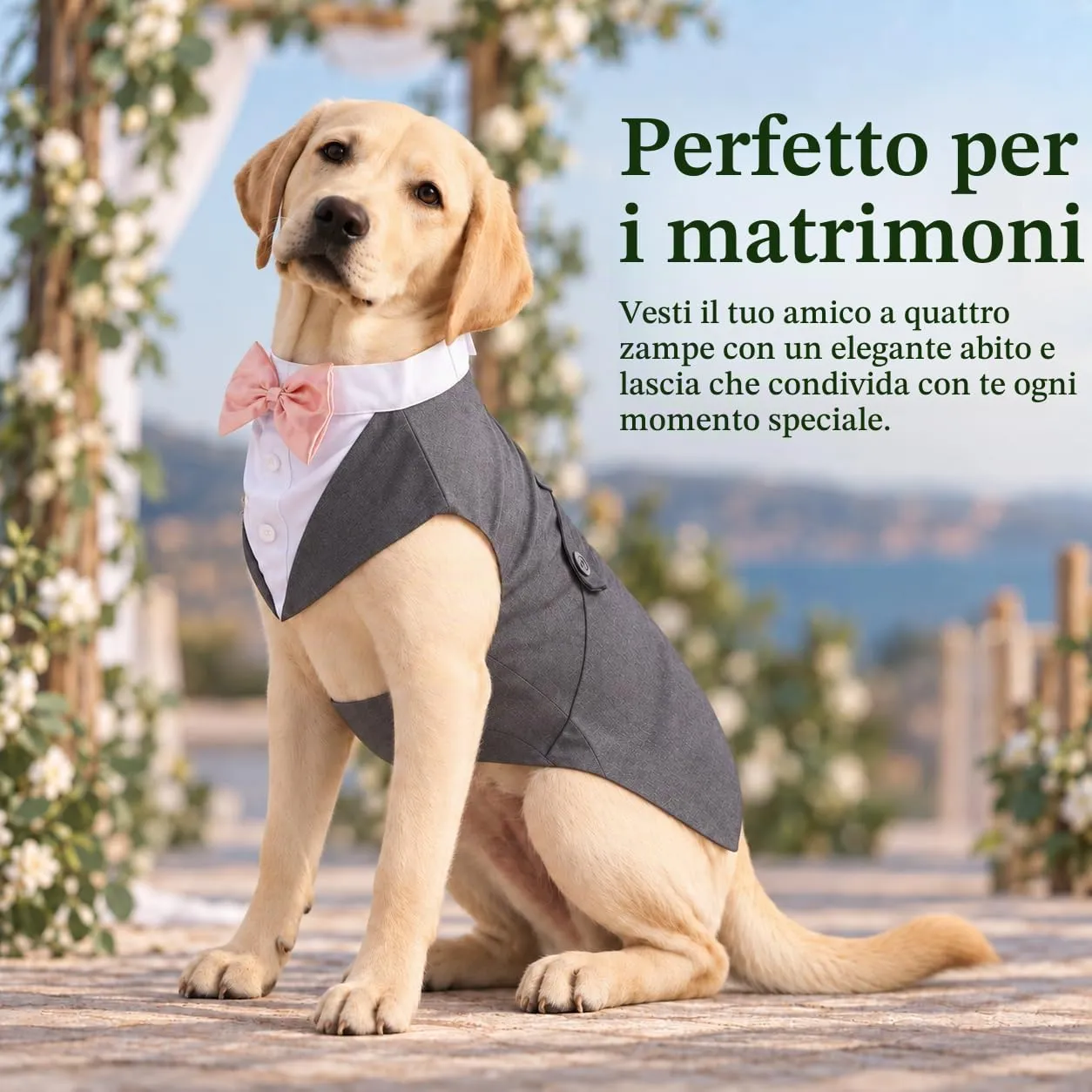 Kuoser Abito Smoking per Cani con Papillon e Bandana, Vestito Formale per Matrimoni e Feste, Grigio, 2XL - immagine 5