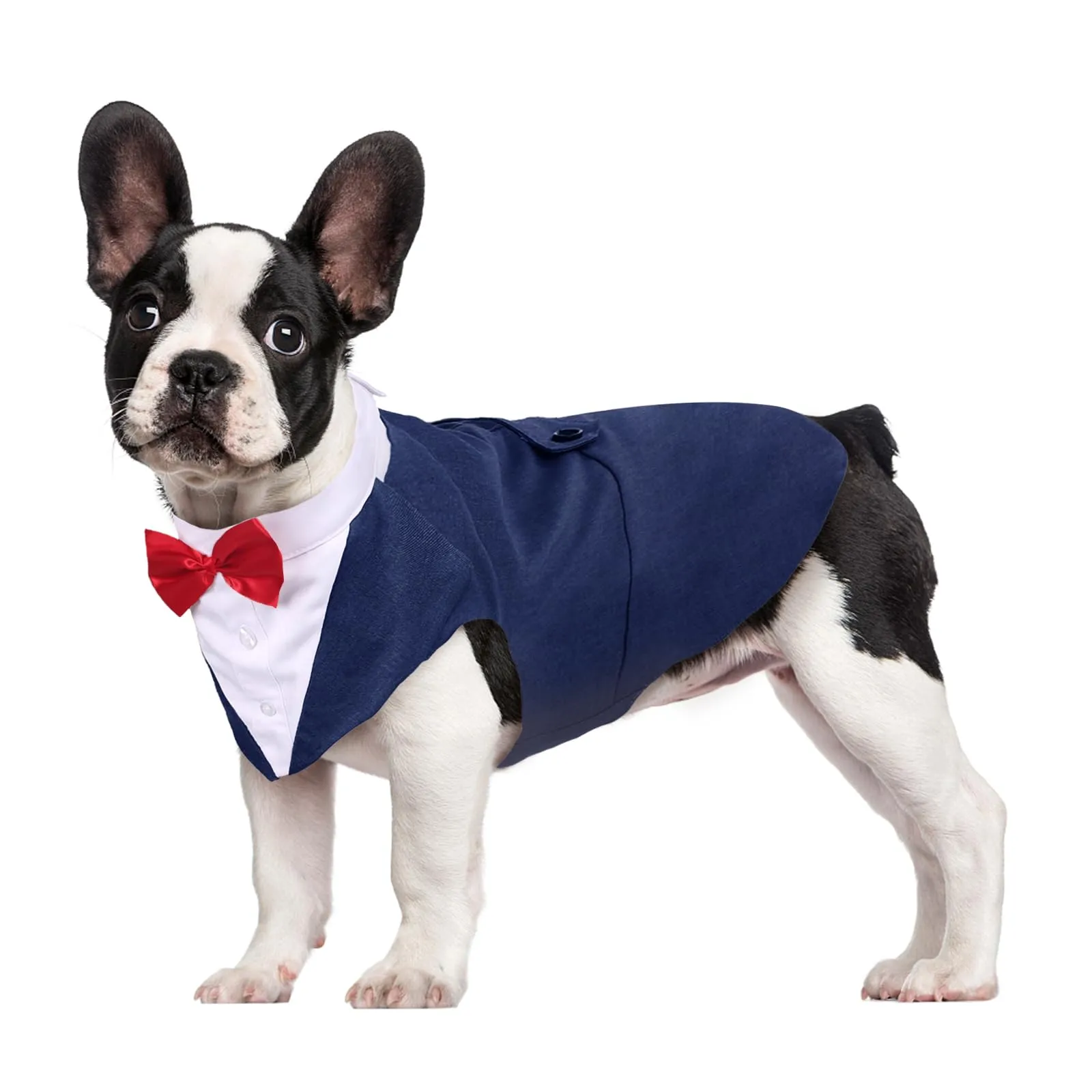 Kuoser Abito Smoking per Cani con Papillon e Bandana, Vestito Formale Elegante per Matrimoni e Feste - immagine 1