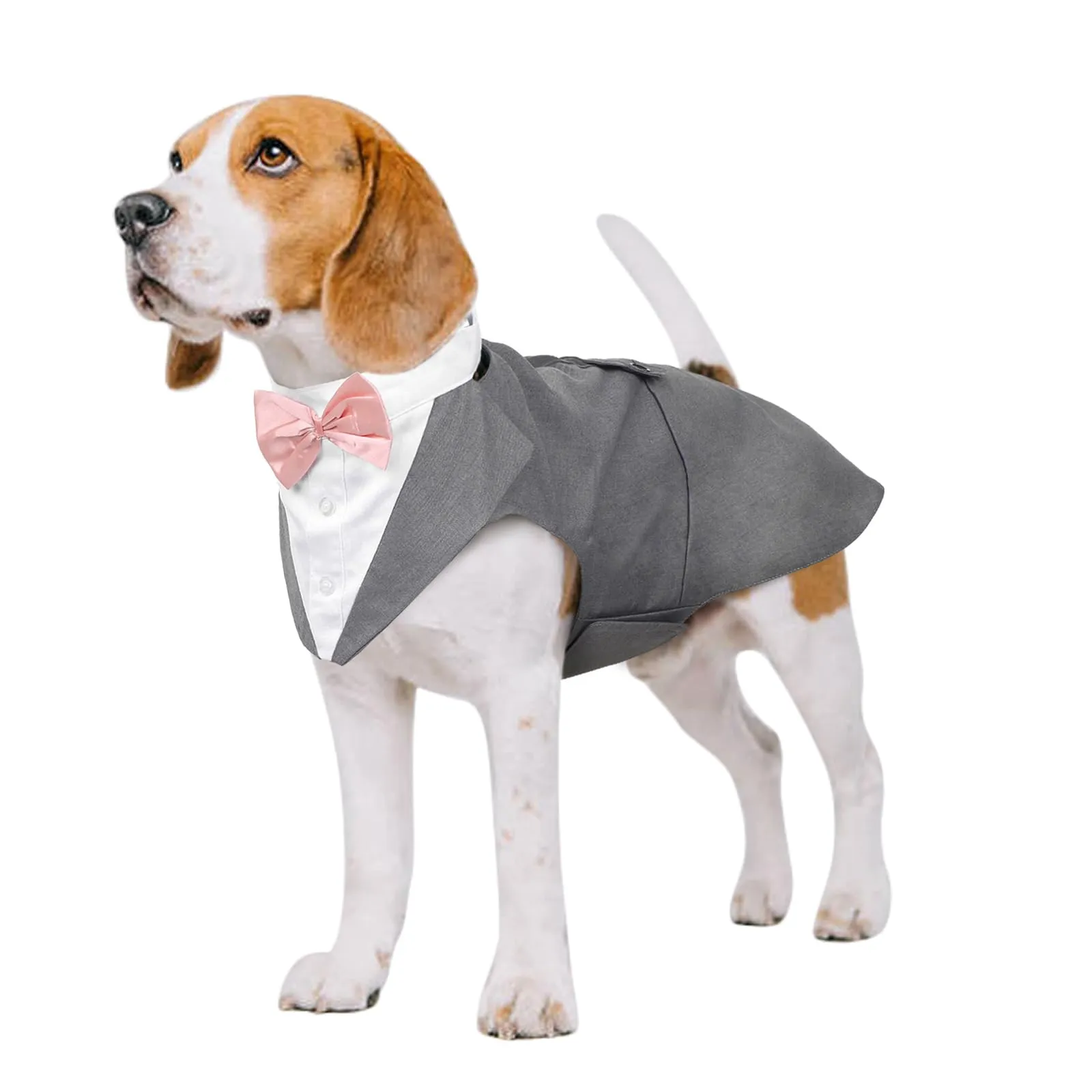 Kuoser Abito Smoking per Cani con Papillon e Bandana, Vestito Formale per Matrimoni e Feste - immagine 1