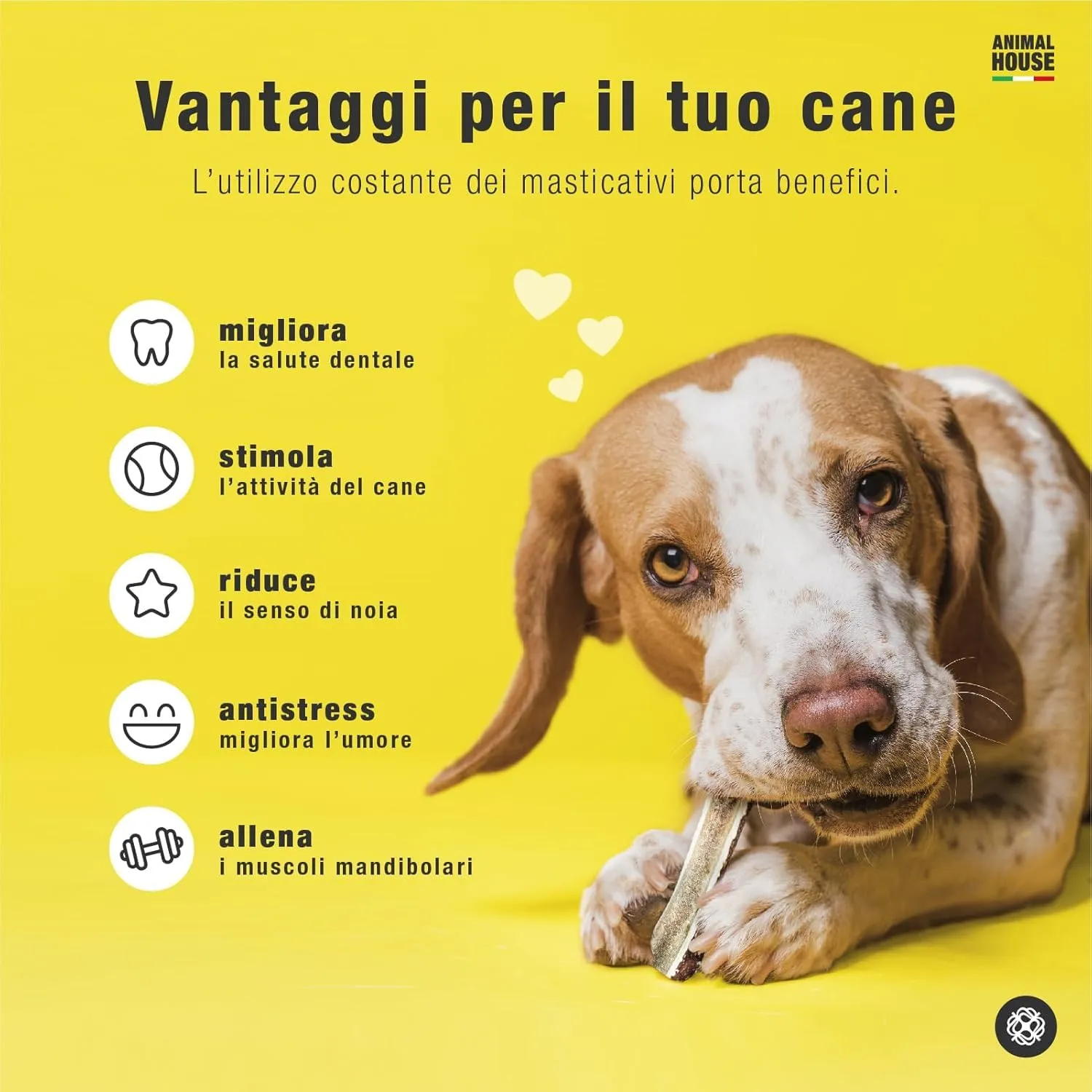Animal House Corna di Cervo Premium per Cani Sezionate (M) - immagine 6