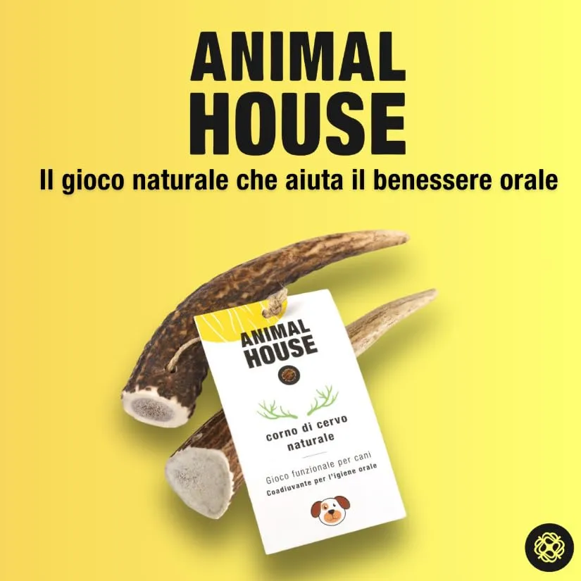 Animal House Corna di Cervo Premium per Cani Sezionate (M) - immagine 8