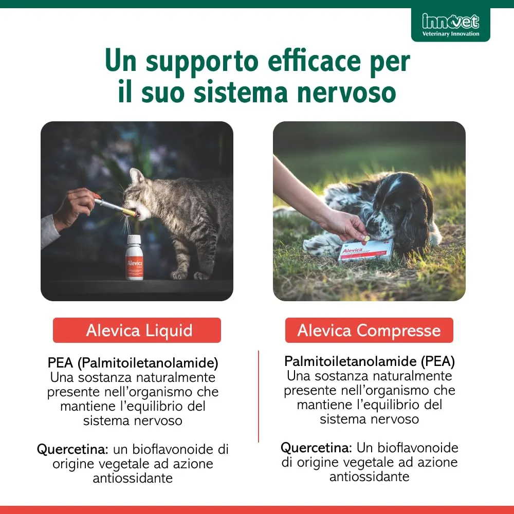 Innovet Alevica PEA-q gocce per cani e gatti, 100 ml - immagine 6