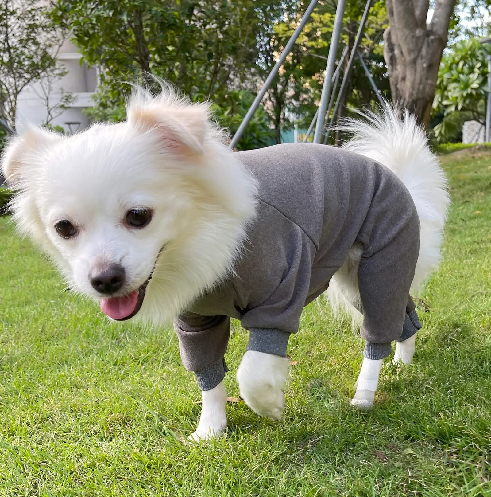 HuaLiSiJi Pigiama per Cani di Piccola e Media Taglia, Grigio, XL - immagine 4