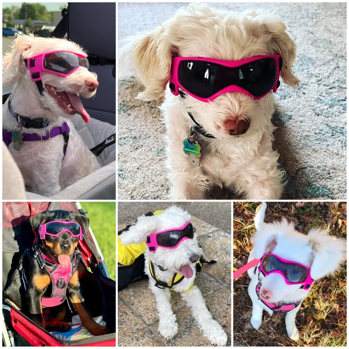 Namsan Occhiali protettivi per cani, anti-UV e antivento, taglia piccola e media, rosa - immagine 2