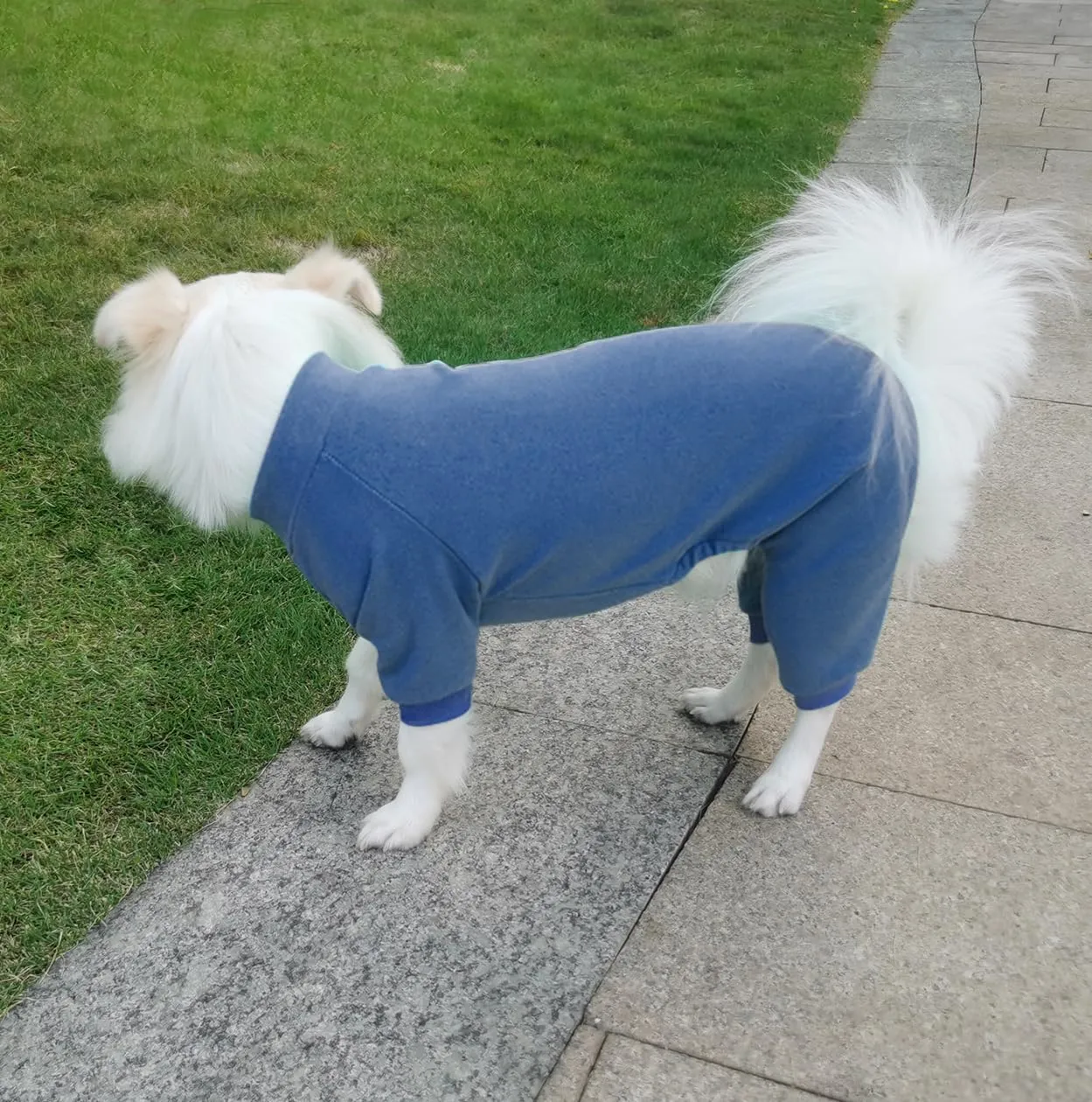 HuaLiSiJi Pigiama per Cane (Blu Foschia, XL) - immagine 4