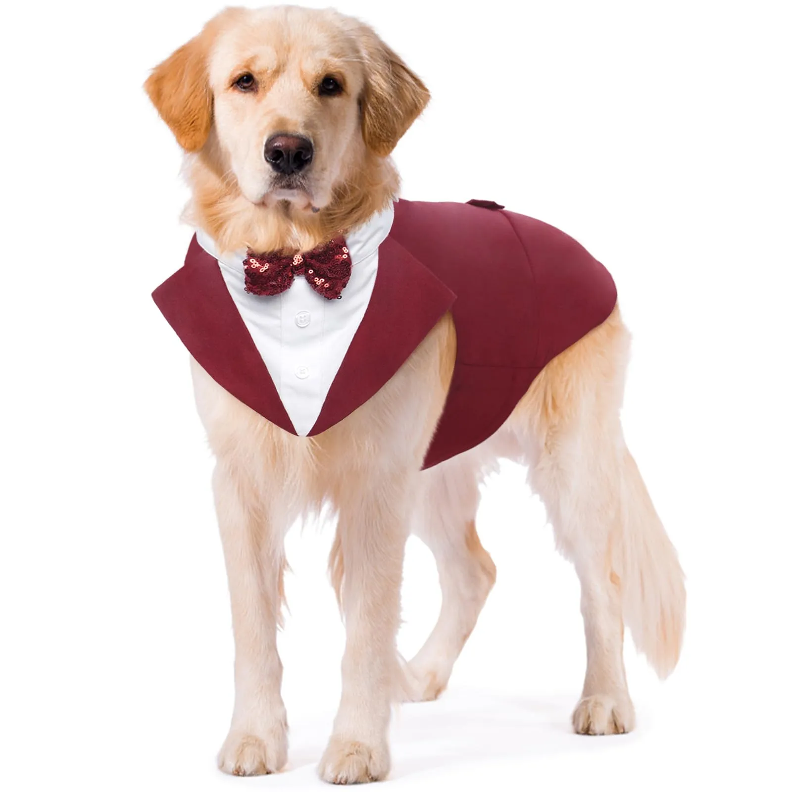 Kuoser Set Smoking e Bandana per Cani con Papillon Rimovibile, Taglia L, Rosso - immagine 1