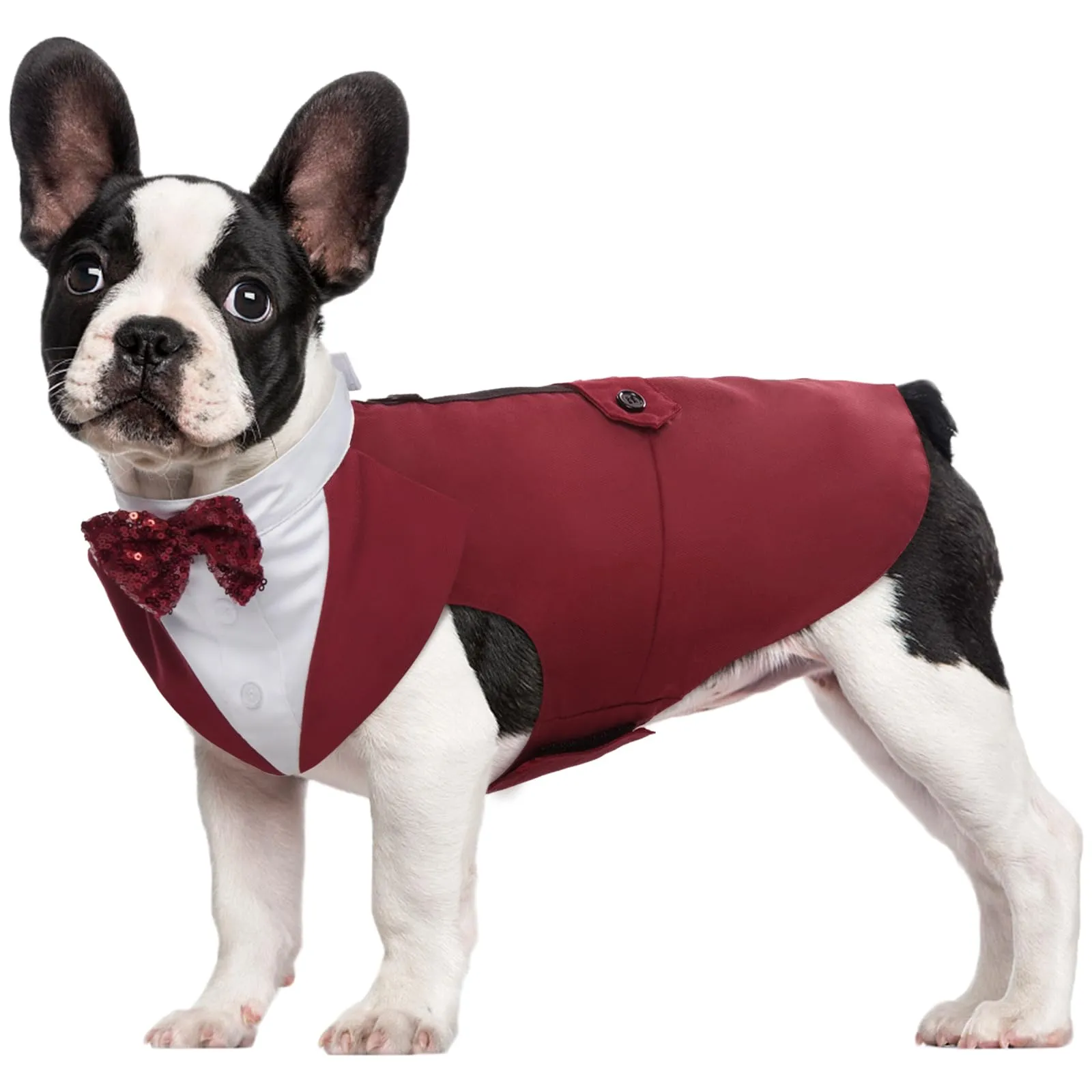 Kuoser Set Smoking e Bandana per Cani con Farfallina Rimovibile, Taglia S, Rosso - immagine 1