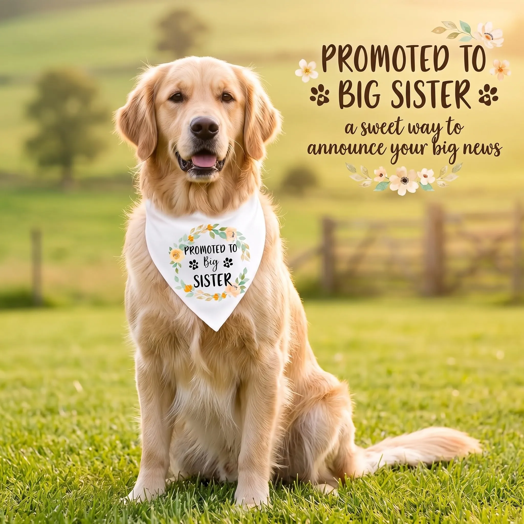 AFCJLTO Bandana per Cani Promoted To Be Big Sister, Sciarpa Triangolare per Cani di Taglia Media e Grande - immagine 2