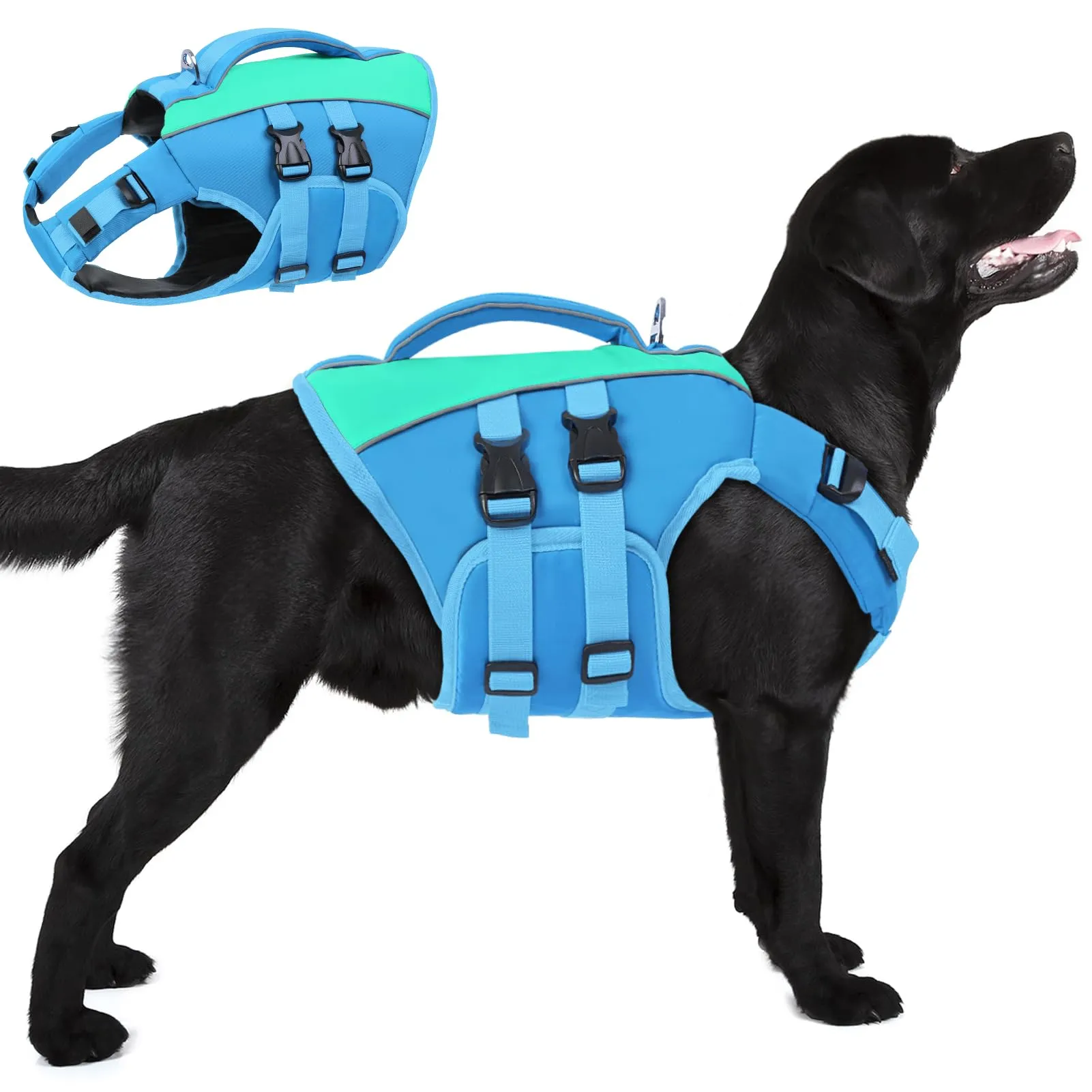 Queenmore Salvagente Cane Ripstop con Maniglia di Salvataggio, Blu, XXL - immagine 1