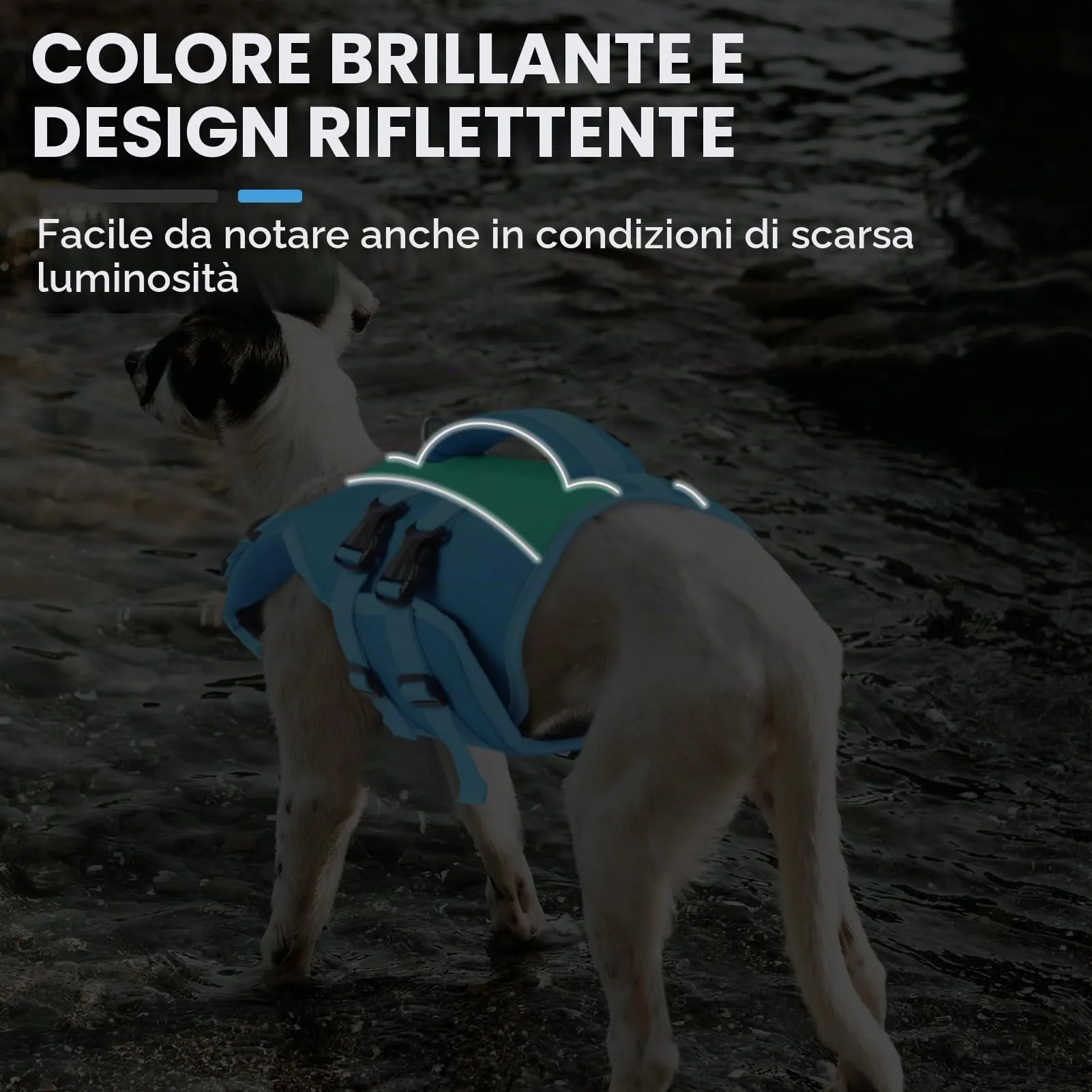 Queenmore Salvagente Cane Ripstop con Maniglia di Salvataggio, Blu, XXL - immagine 3