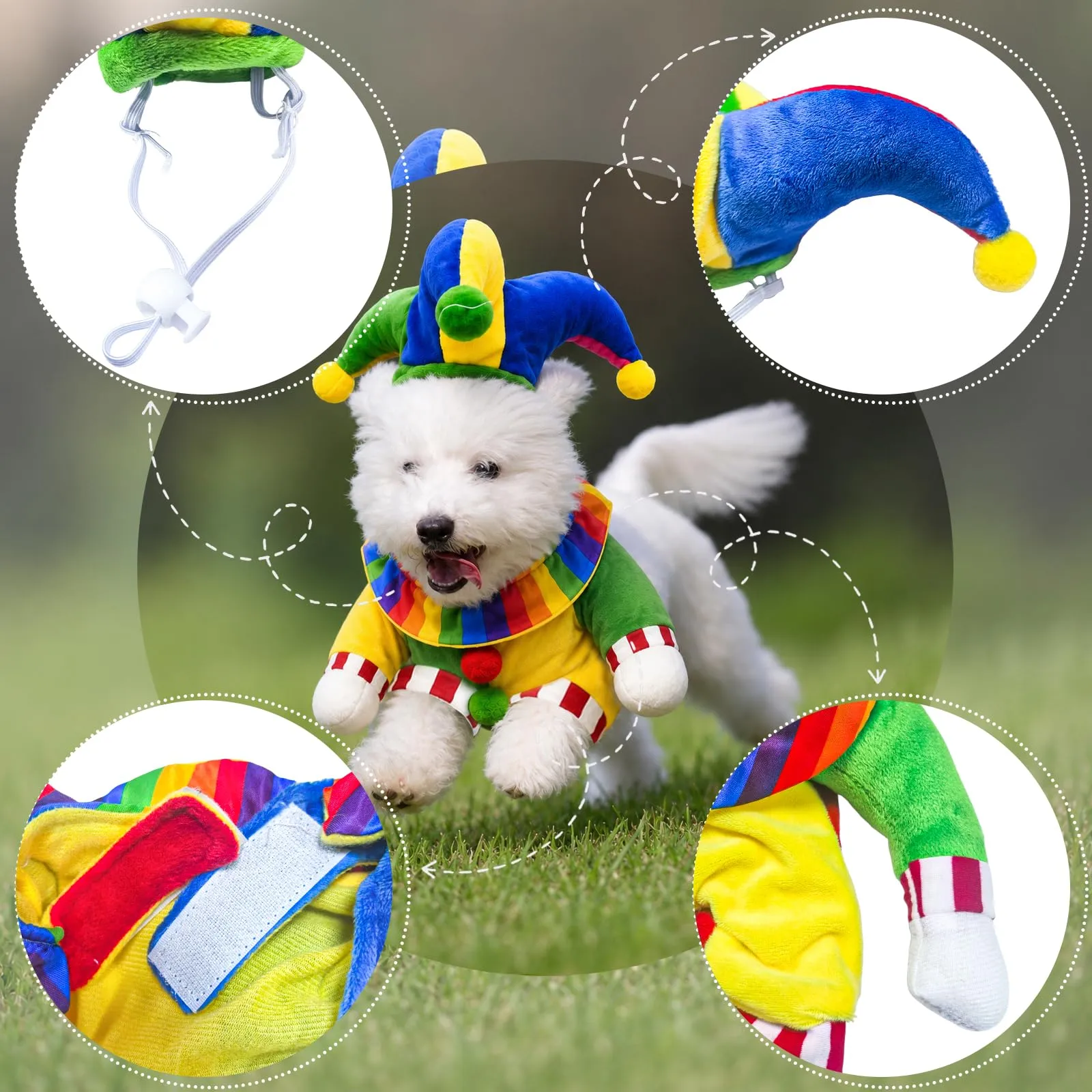 panemy Costume Halloween per Cane, Taglia S - immagine 2