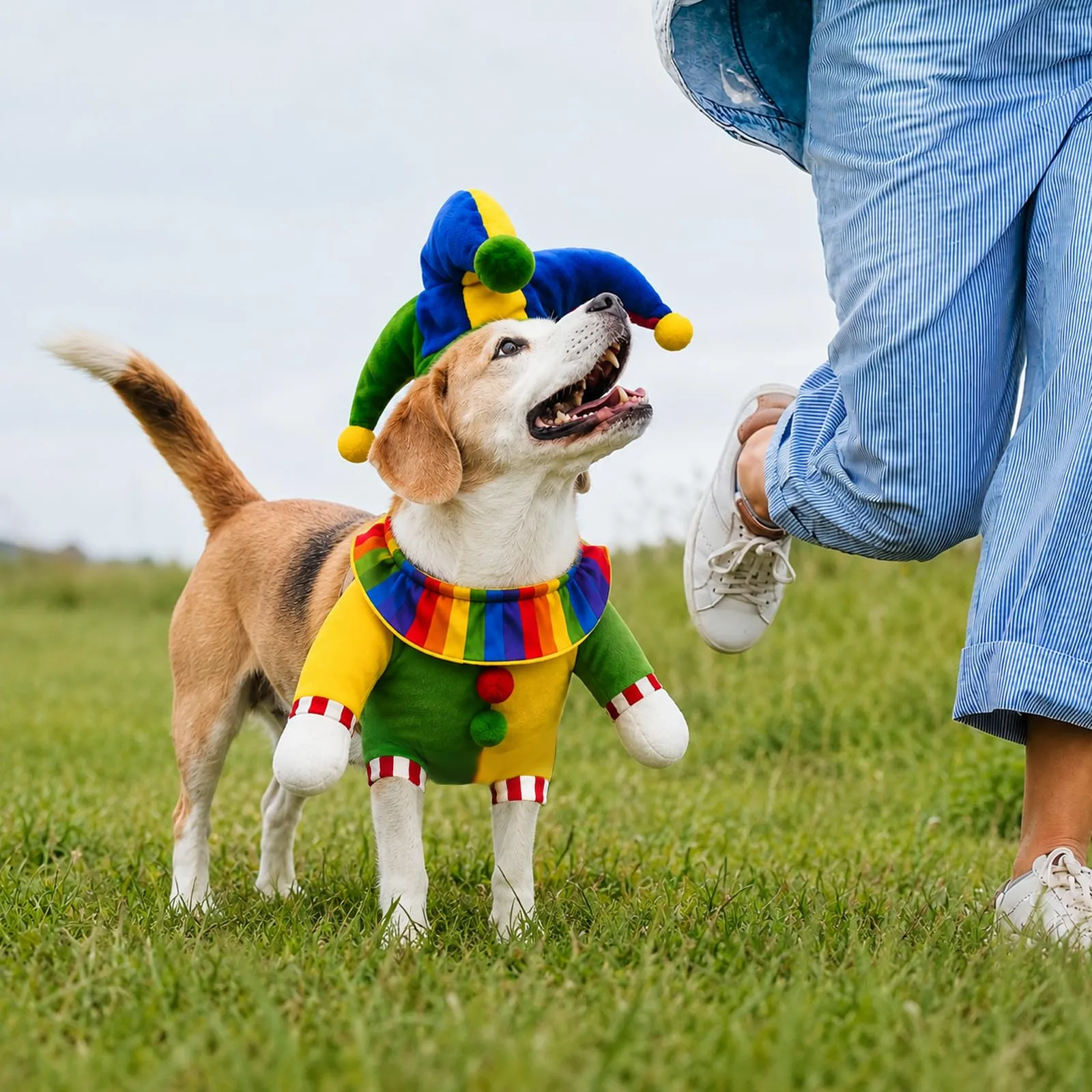 panemy Costume Halloween per Cane, Taglia S - immagine 3