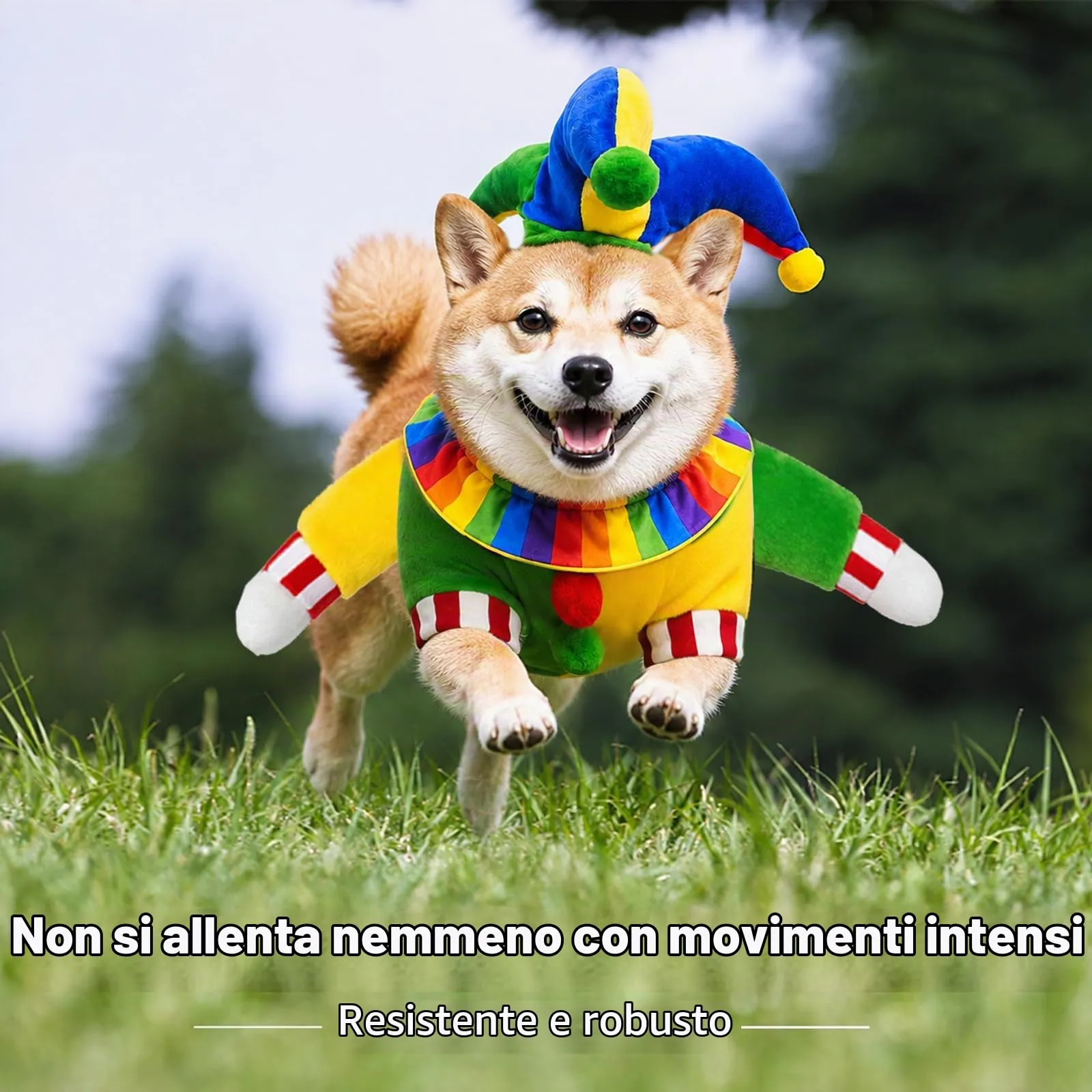 panemy Costume Halloween per Cane, Taglia S - immagine 4
