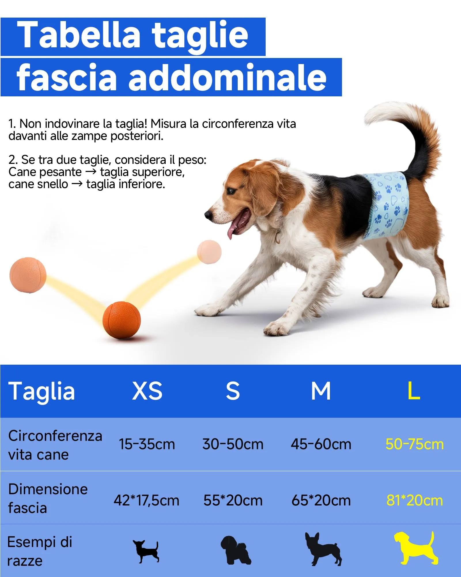 Flying Paws Pannolini per Cani, Taglia L, 52 Pezzi - immagine 4