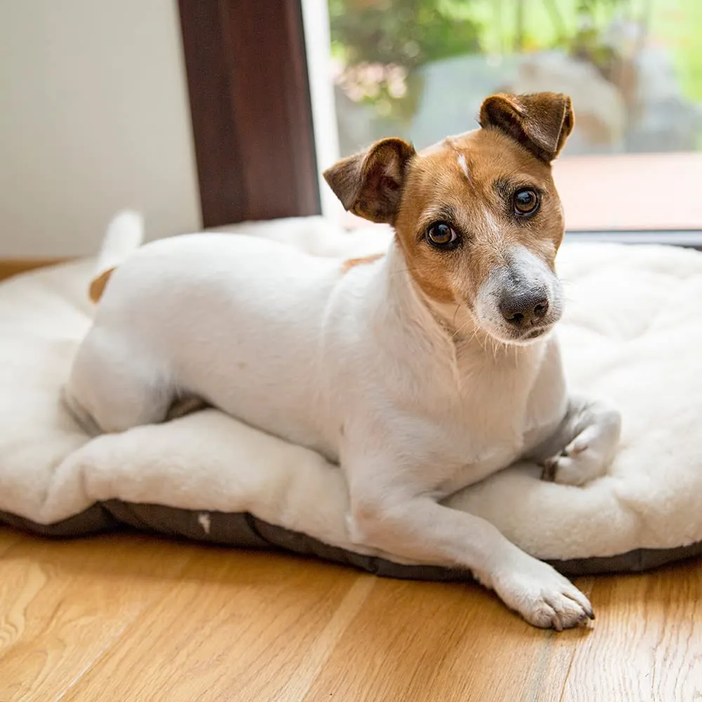 Ferplast Relax Cuscino per Cani e Gatti, 65 x 42 cm - immagine 4