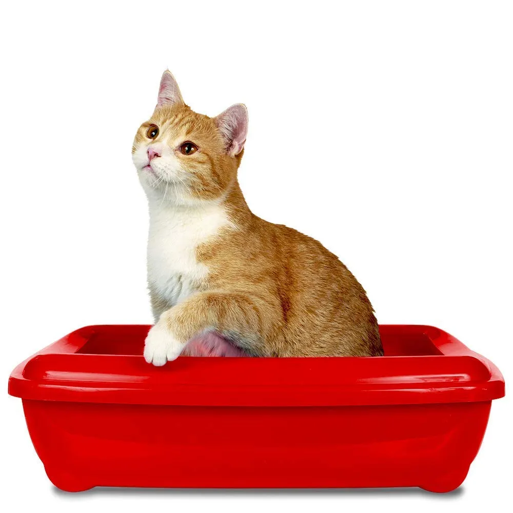 Simple Solution Eliminatore Odori Lettiera Gatto Enzimatico 500 ml - immagine 3