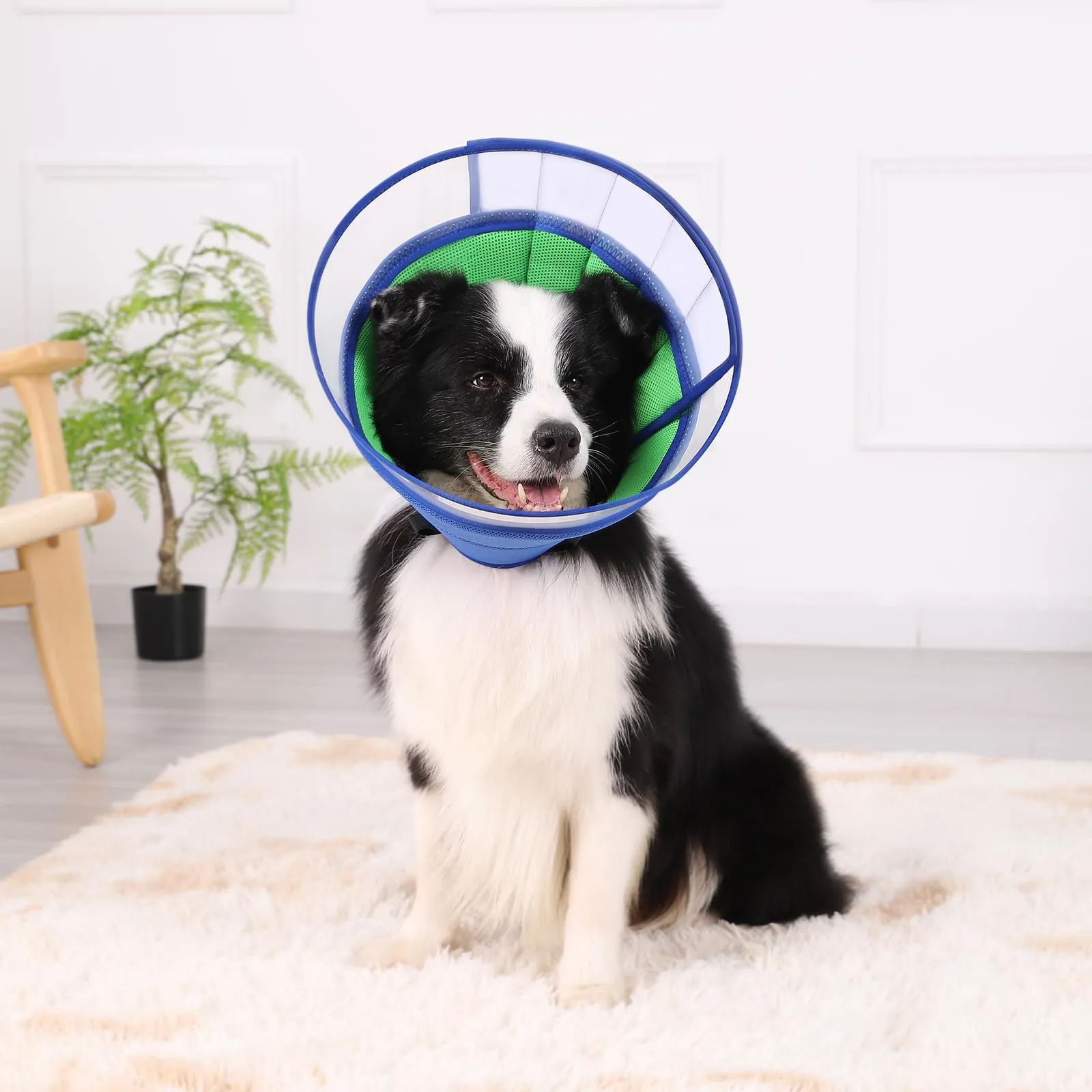 ICOYEA Collare Elisabettiano Morbido per Cani e Gatti, Traspirante per Recupero Postoperatorio, Blu, Taglia 3 - immagine 6