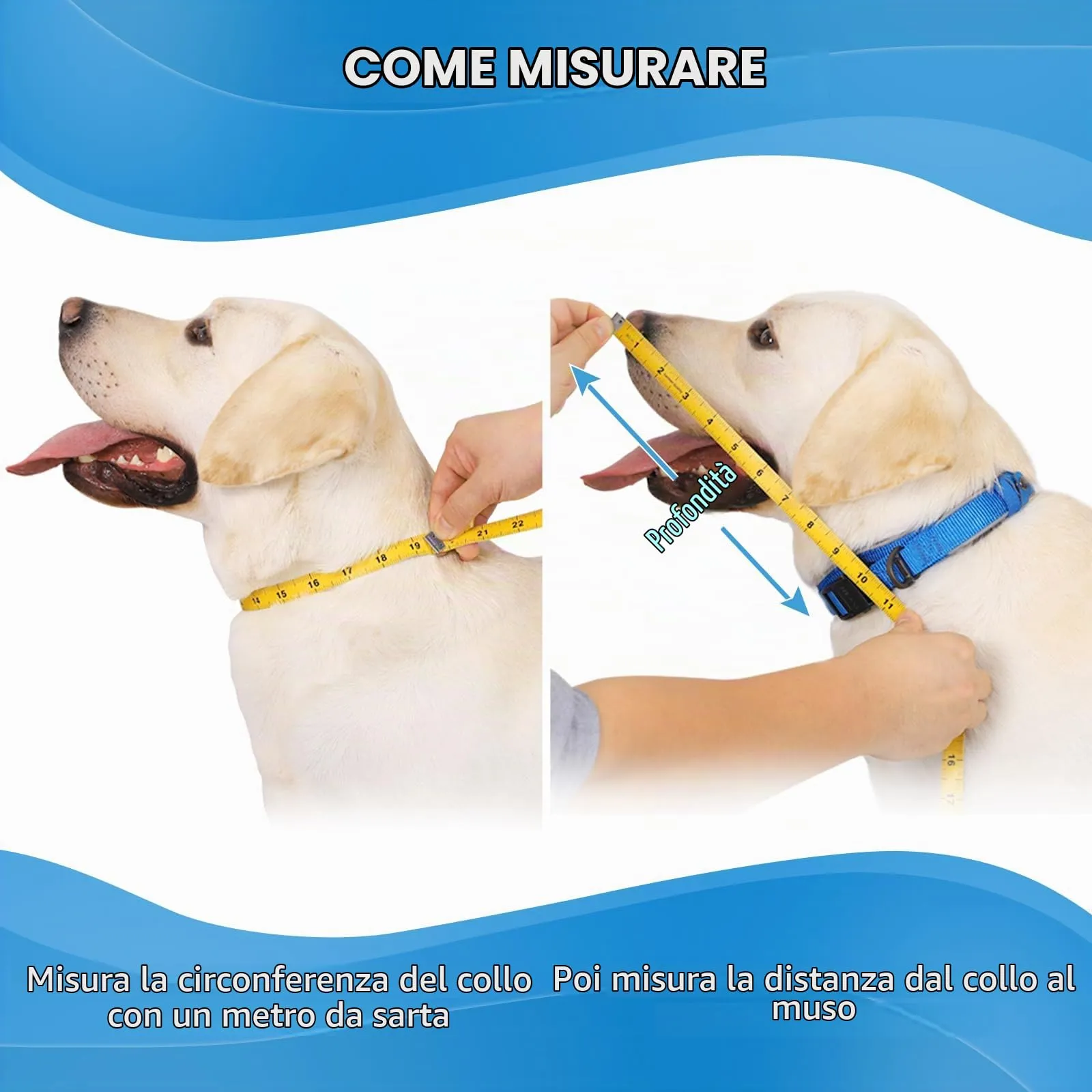 ICOYEA Collare Elisabettiano Morbido per Cani e Gatti, Traspirante per Recupero Postoperatorio, Blu, Taglia 4 - immagine 4