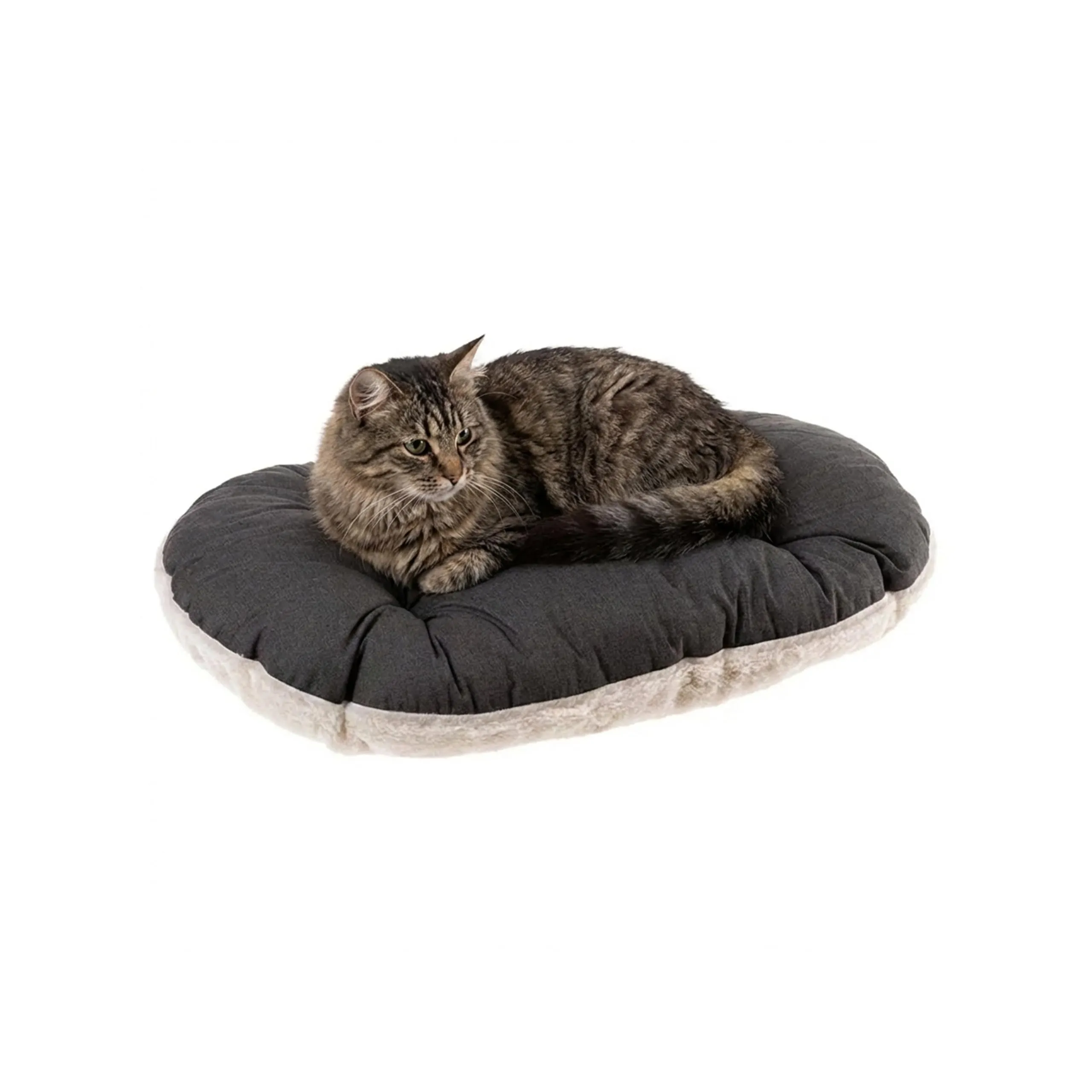 Ferplast Relax 55/4 Cuscino per Cane e Gatto, 55 x 36 cm - immagine 1