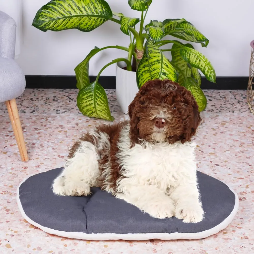 Ferplast Relax Cuscino per Cani e Gatti, 78 x 50 x 8 cm - immagine 3