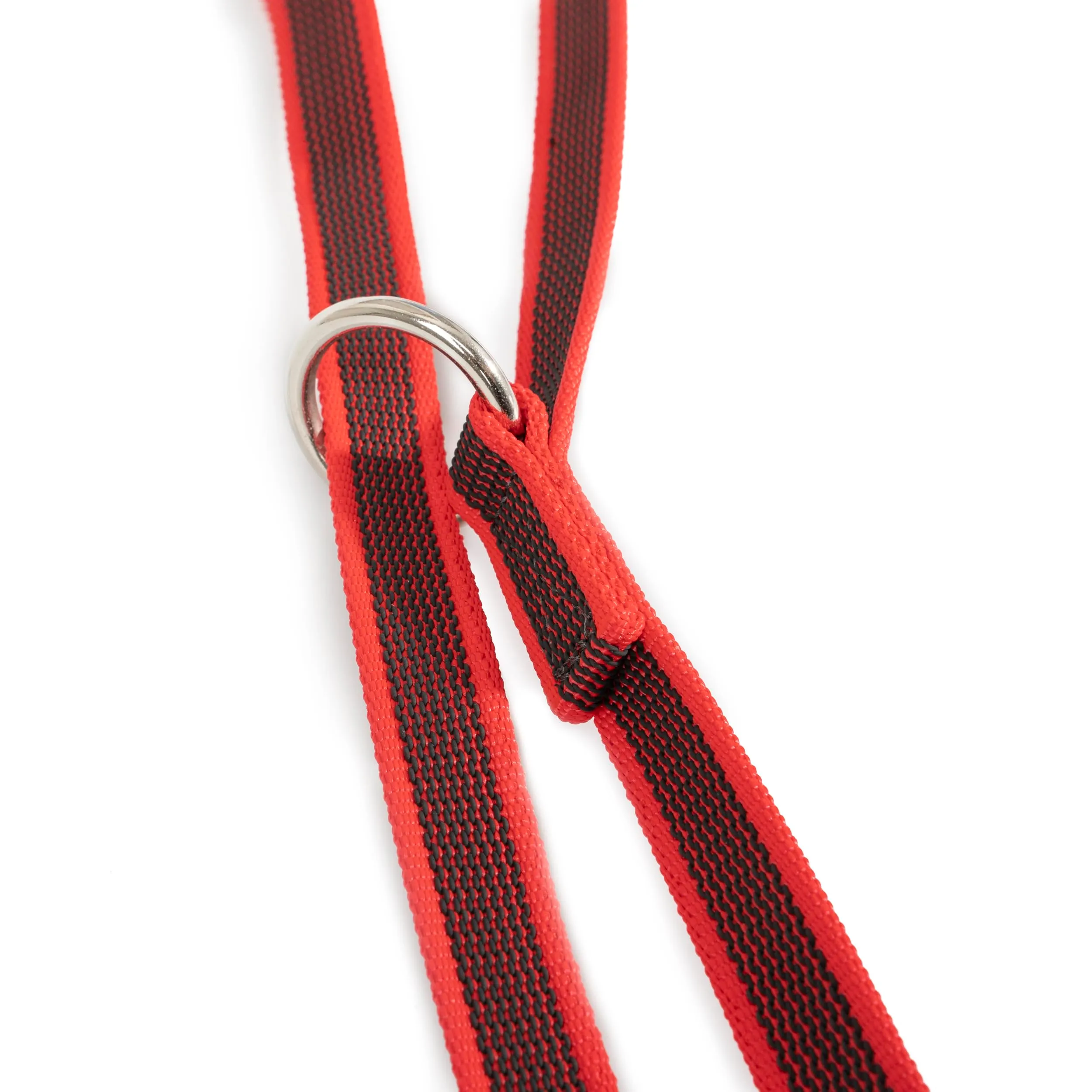 Julius-K9 Color & Gray Guinzaglio Regolabile, 20 mm x 2.2 m, Rosso - immagine 4